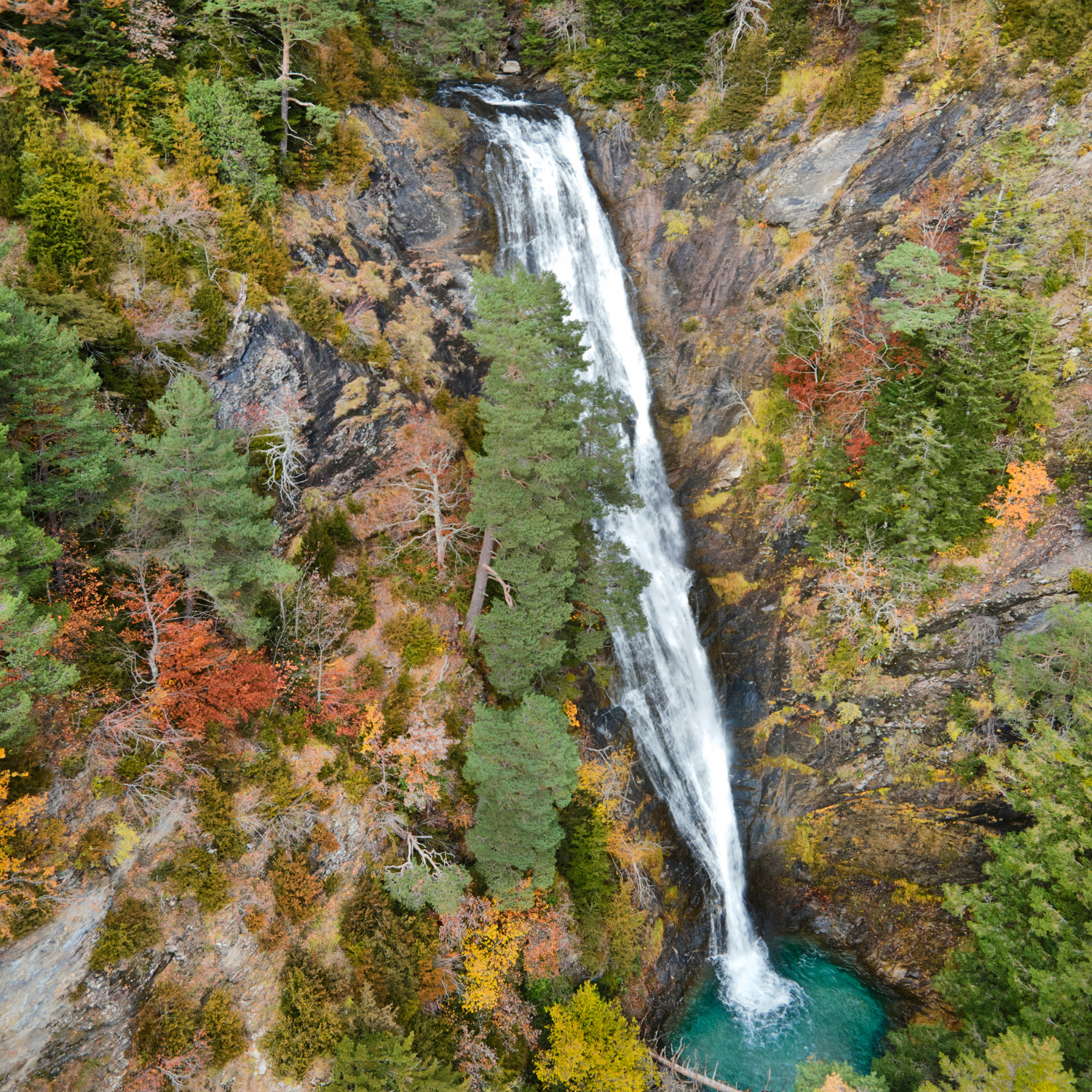Private Nikko Day Tour from Tokyo – Fully Customizable