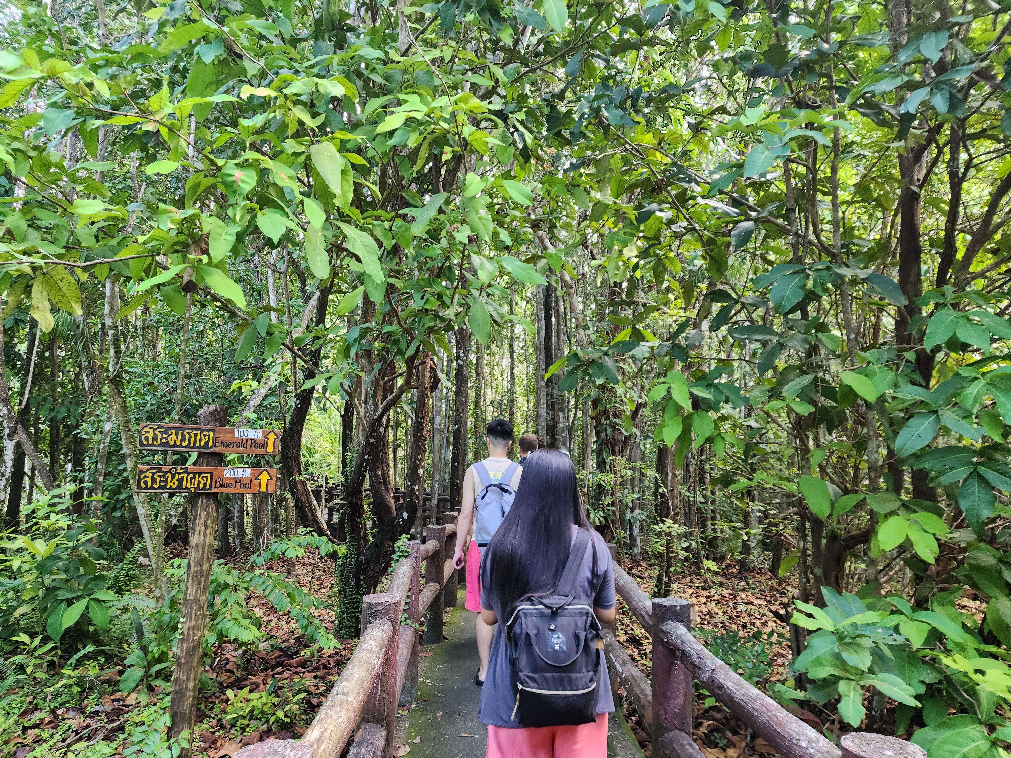 Krabi Nature & Temples Day Tour: Emerald Pool, Hot Springs & Tiger Cave