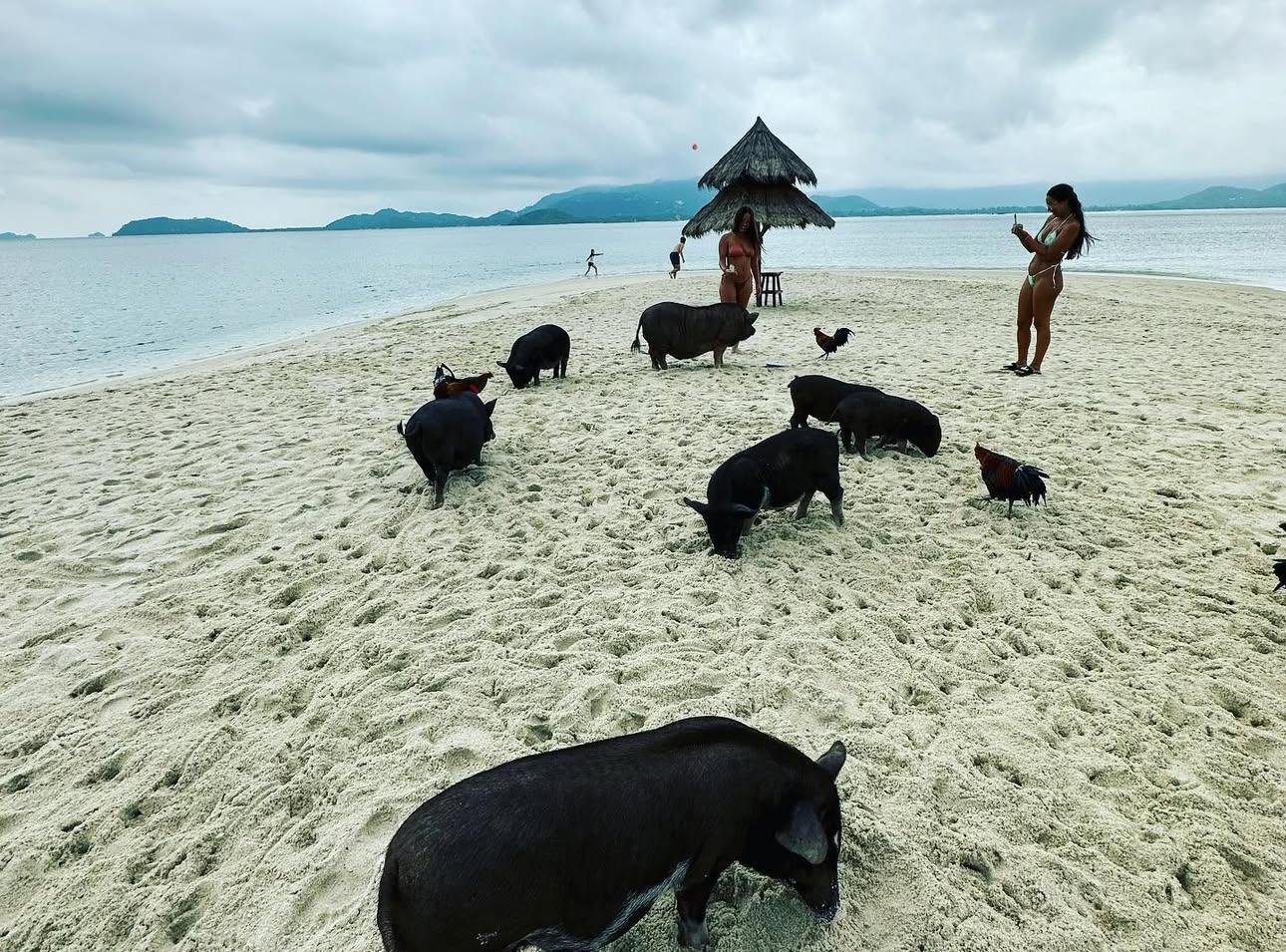 Koh Samui Jet Ski Safari: Pig Island & Snorkeling Adventure