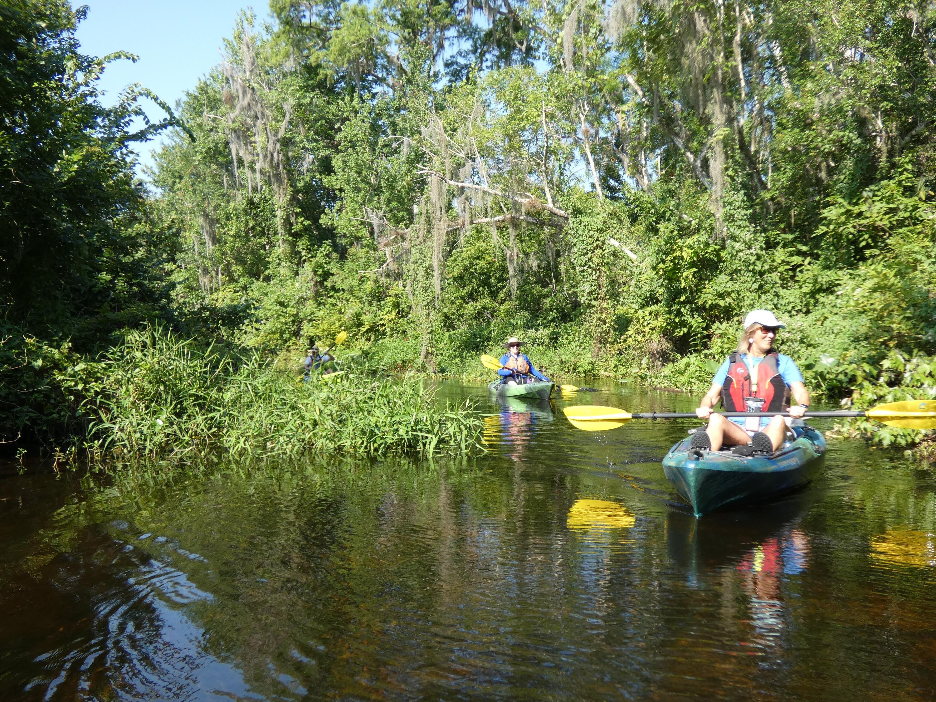 Small Group Wekiva River Kayak Adventure