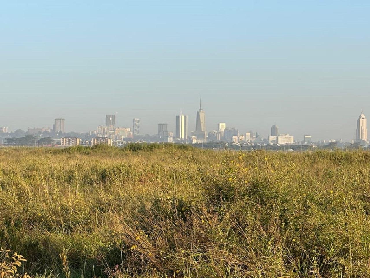 Nairobi Wildlife & History Day Tour