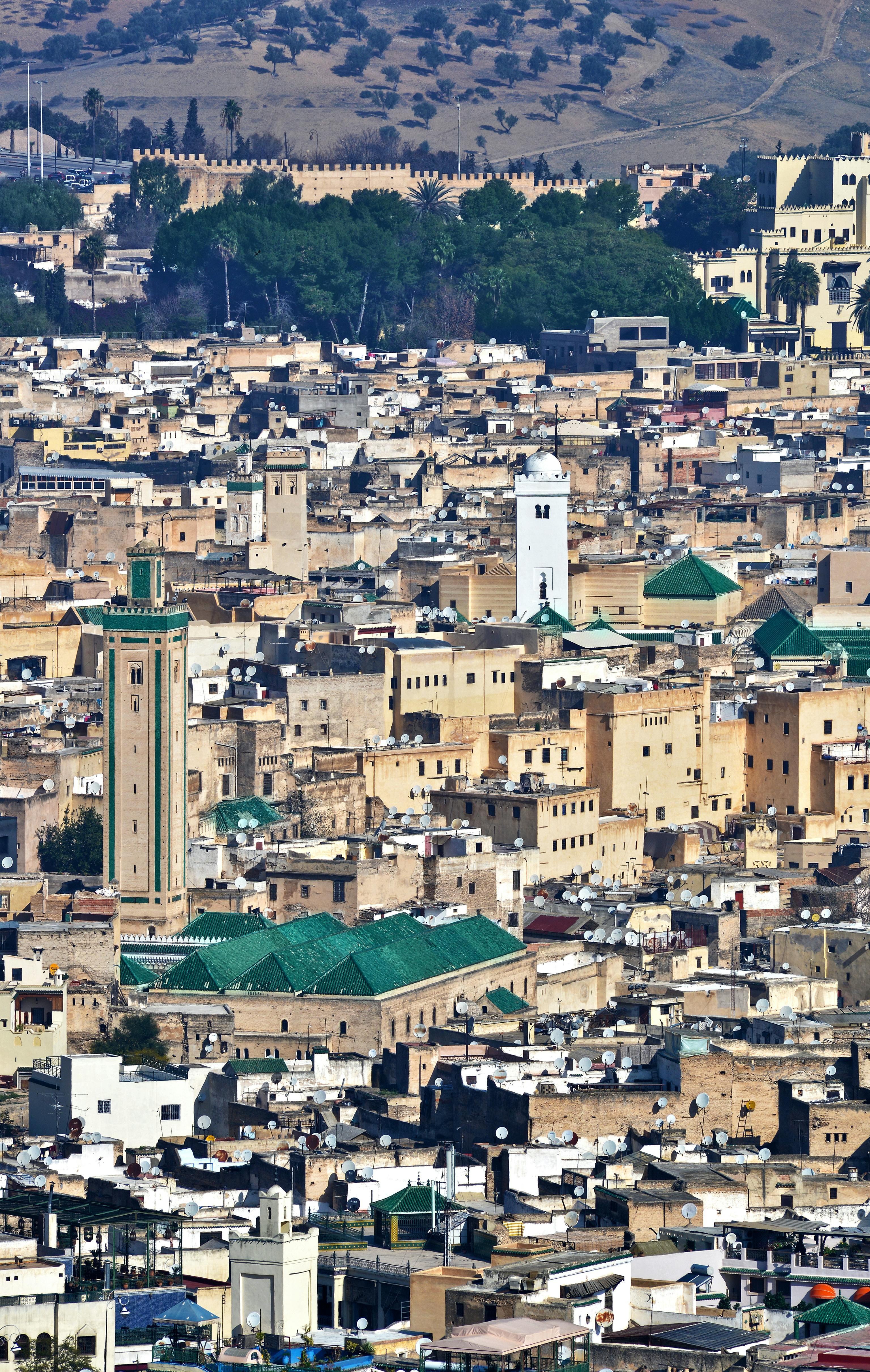 Fes Medina Walking Tour with Local Expert