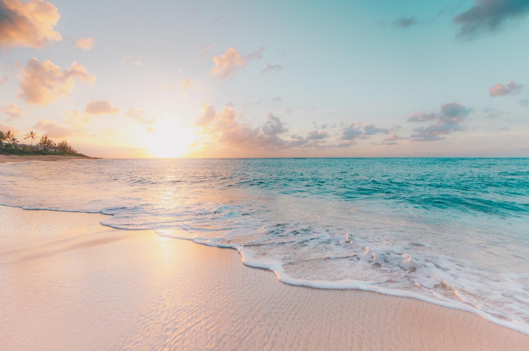 Bahamas Day Trip: Bimini or Grand Bahama Ferry from Miami