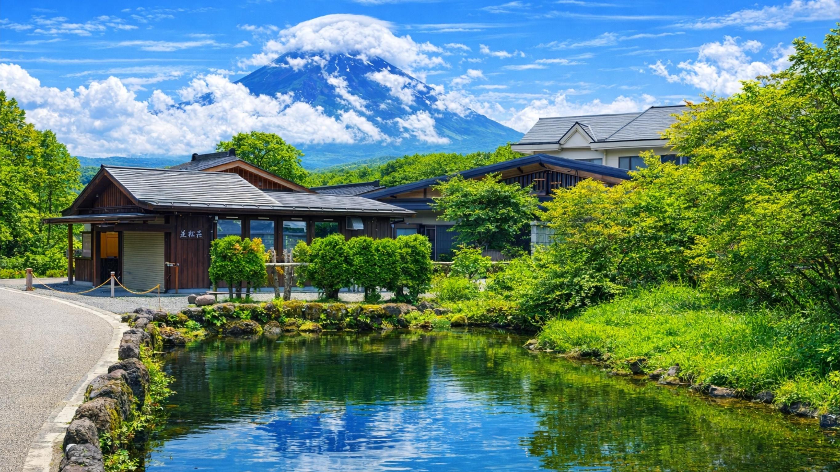 Tokyo to Mount Fuji & Hakone Private Full-Day Tour