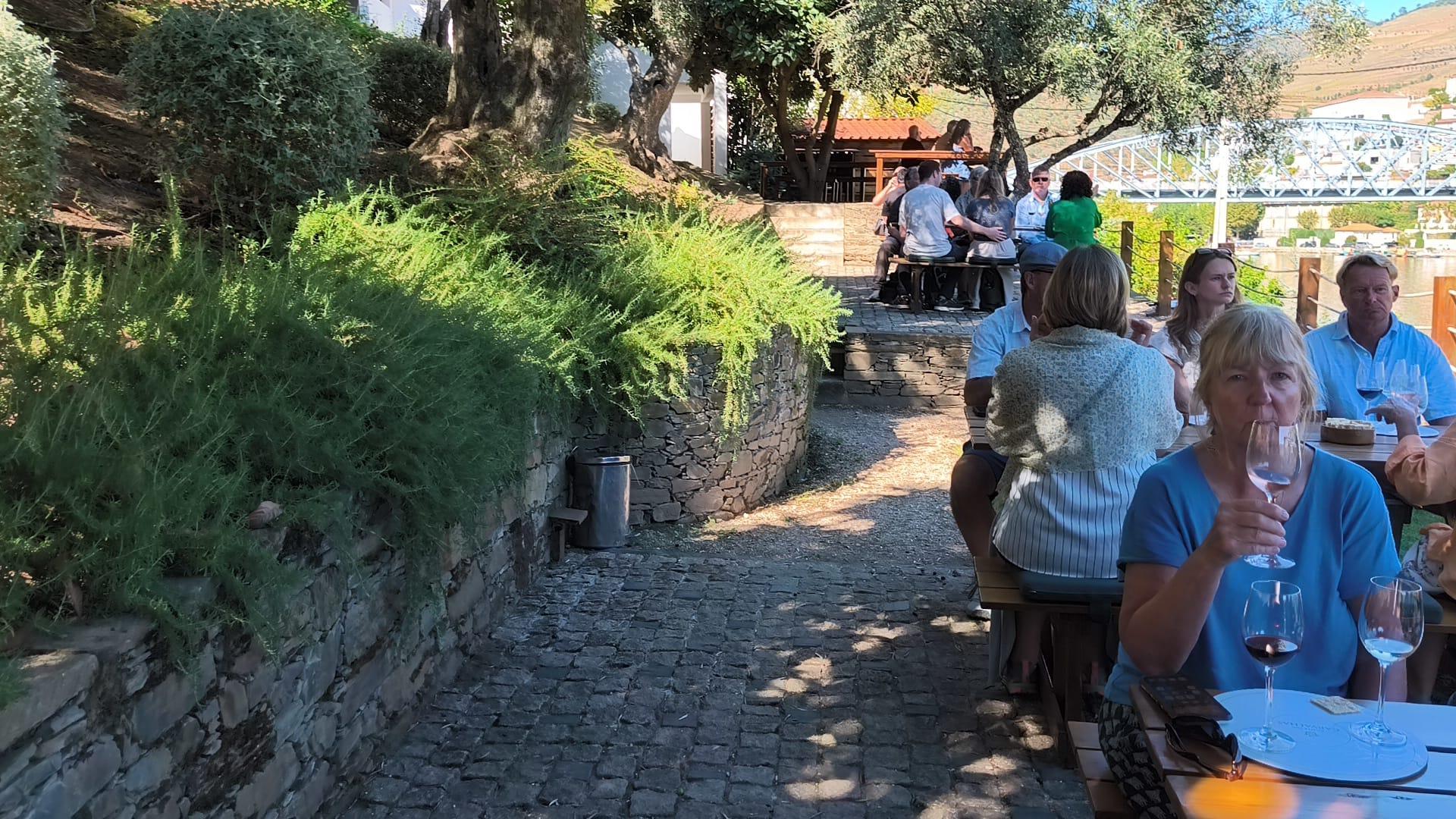 Douro Valley Full-Day Tour: Boat Ride, Twin Winery Tastings & Lunch