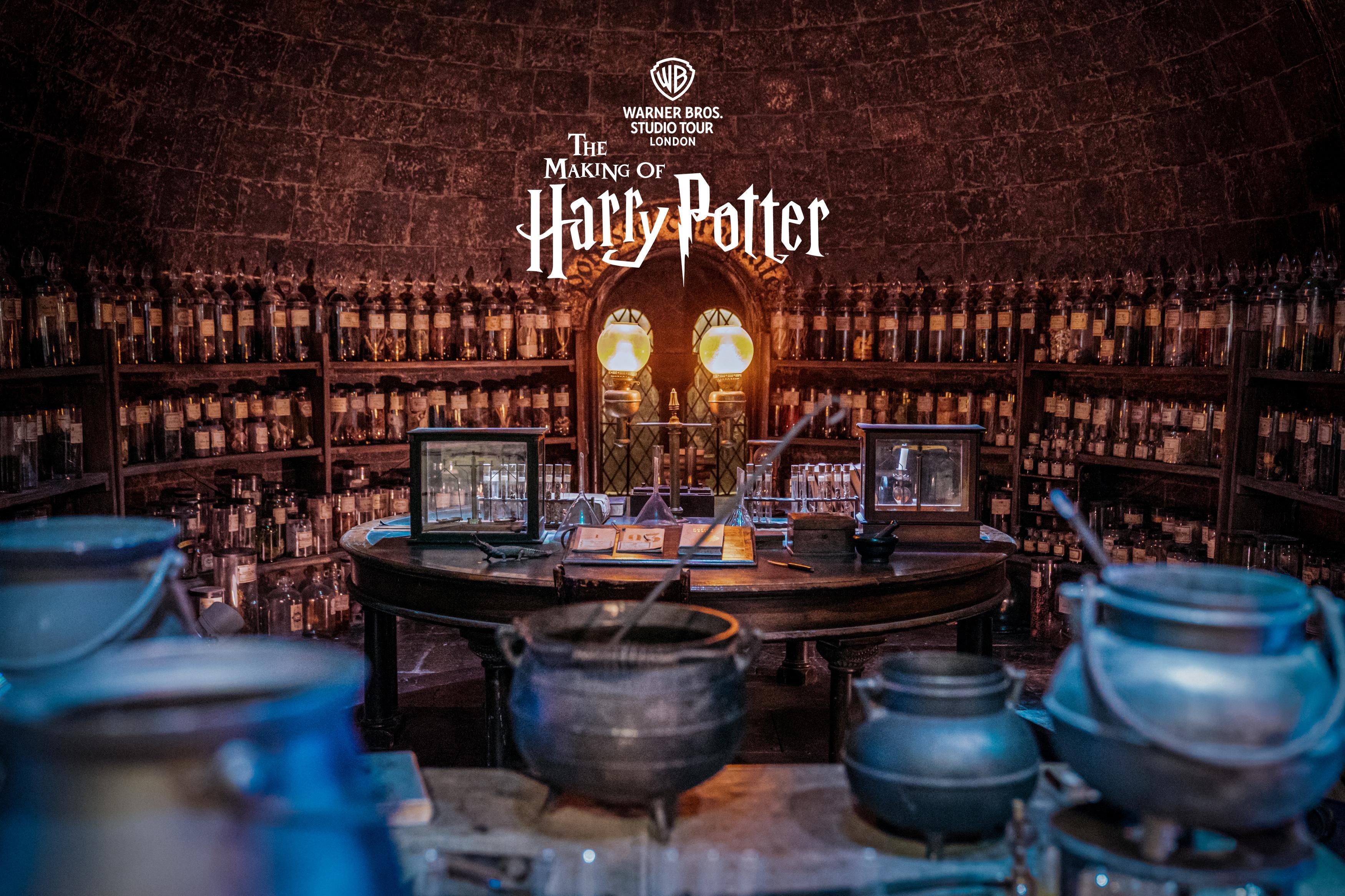 Fully guided Harry Potter studio tour from London