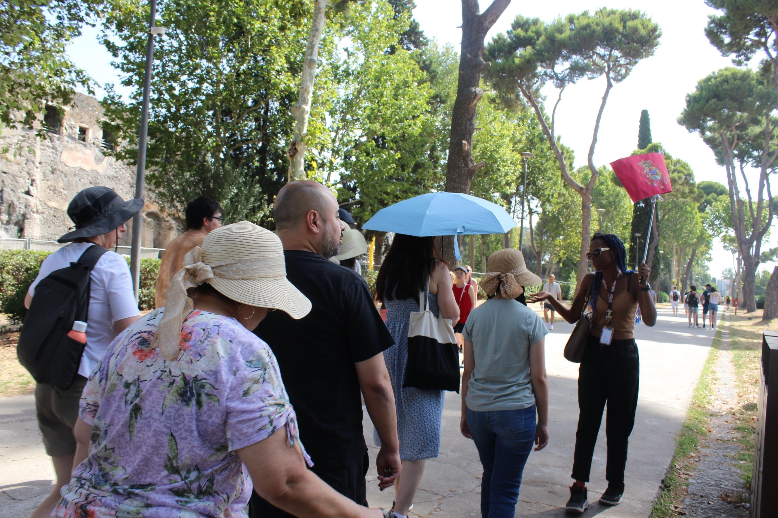From Naples: Pompeii and Vesuvius Tour with Lunch Included - Mount Vesuvius crater tour and Bay of Naples views