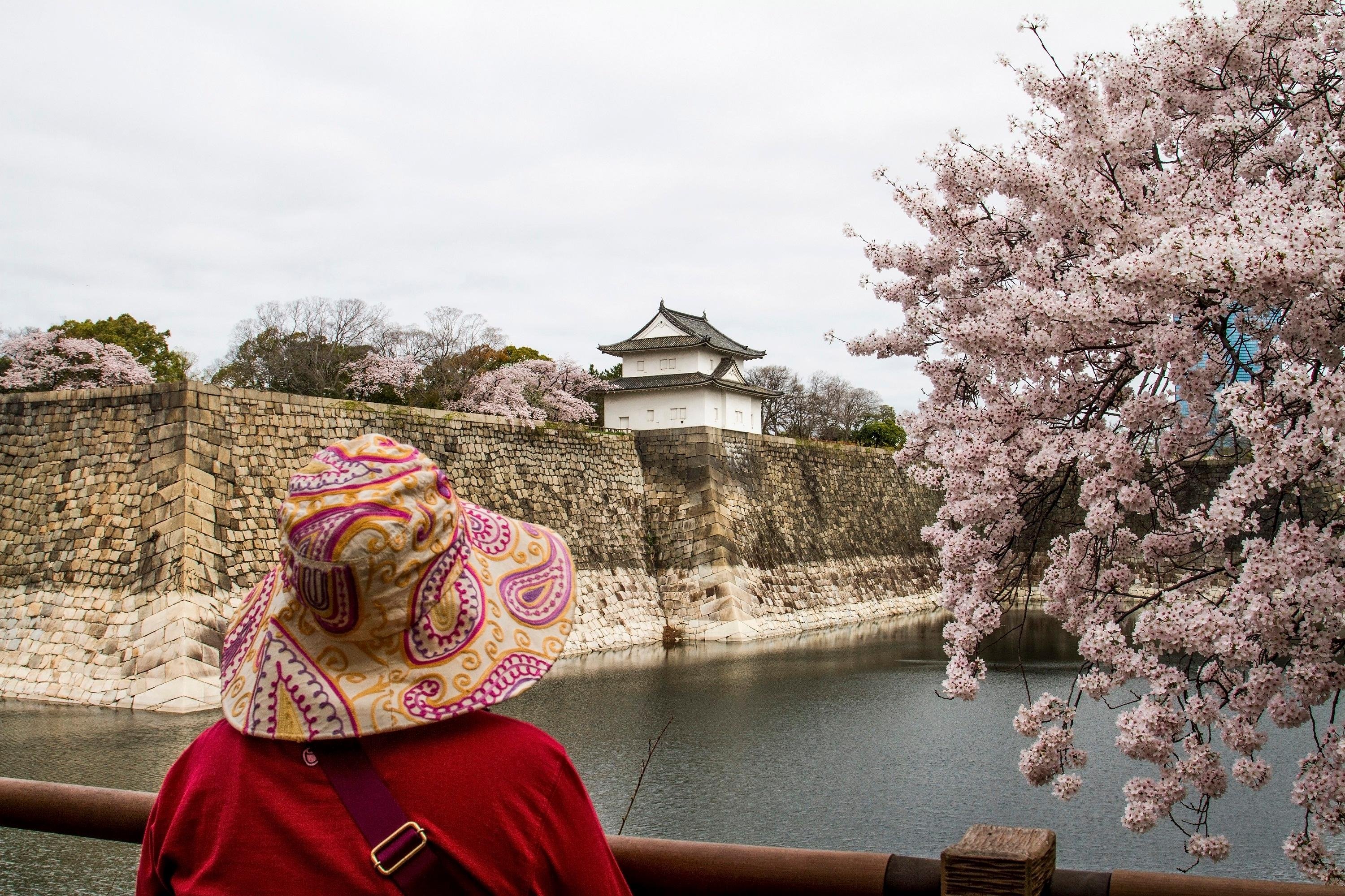 Osaka Castle & Samurai Heritage Walking Tour