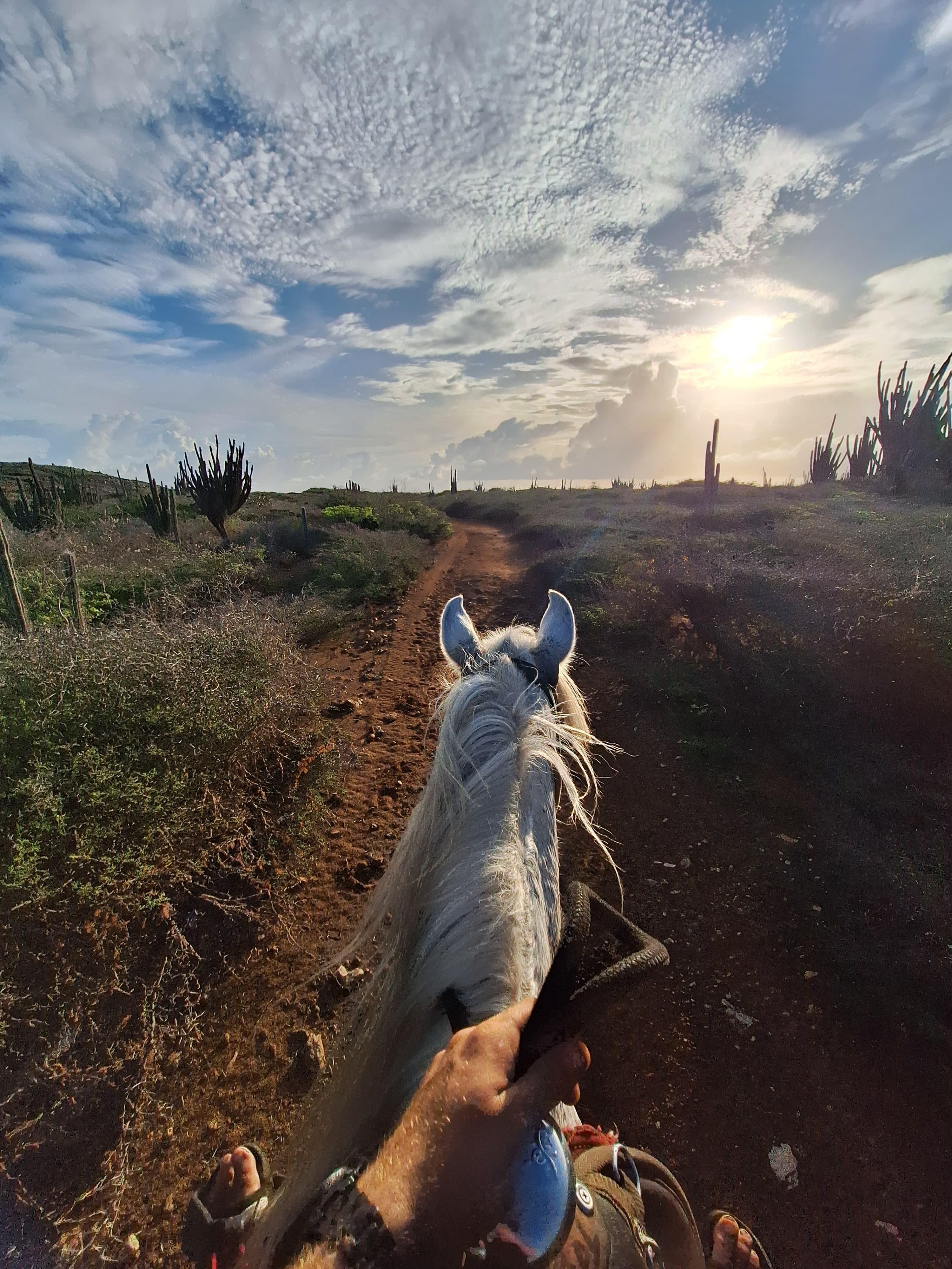 Sunset Horseback Ride Through Aruba's Countryside