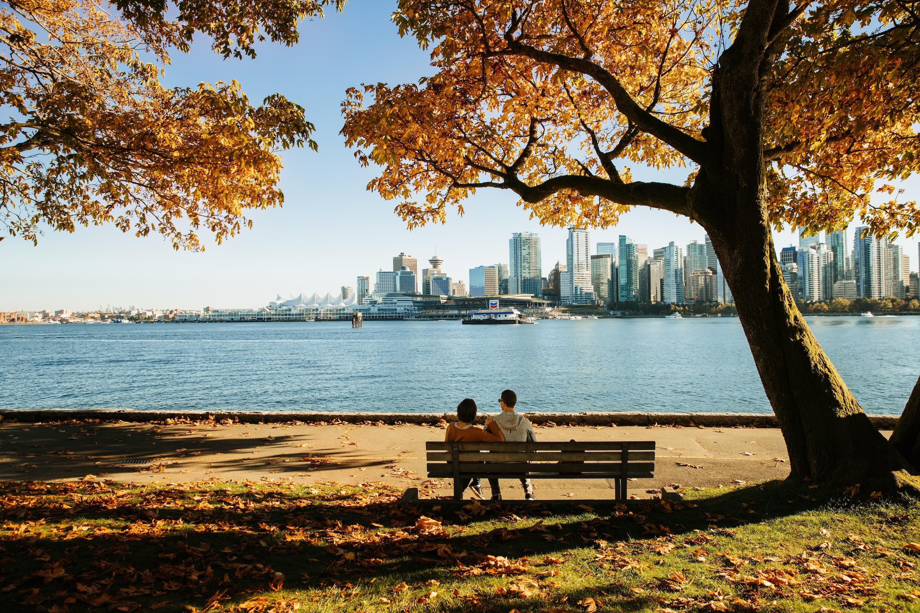 Vancouver Guided City Tour with Capilano Suspension Bridge & Stanley Park