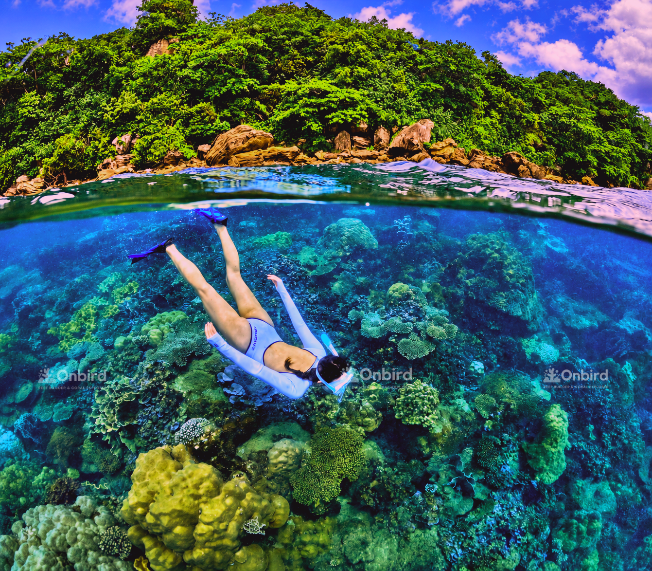 Hidden Reef Snorkeling & Island BBQ Adventure