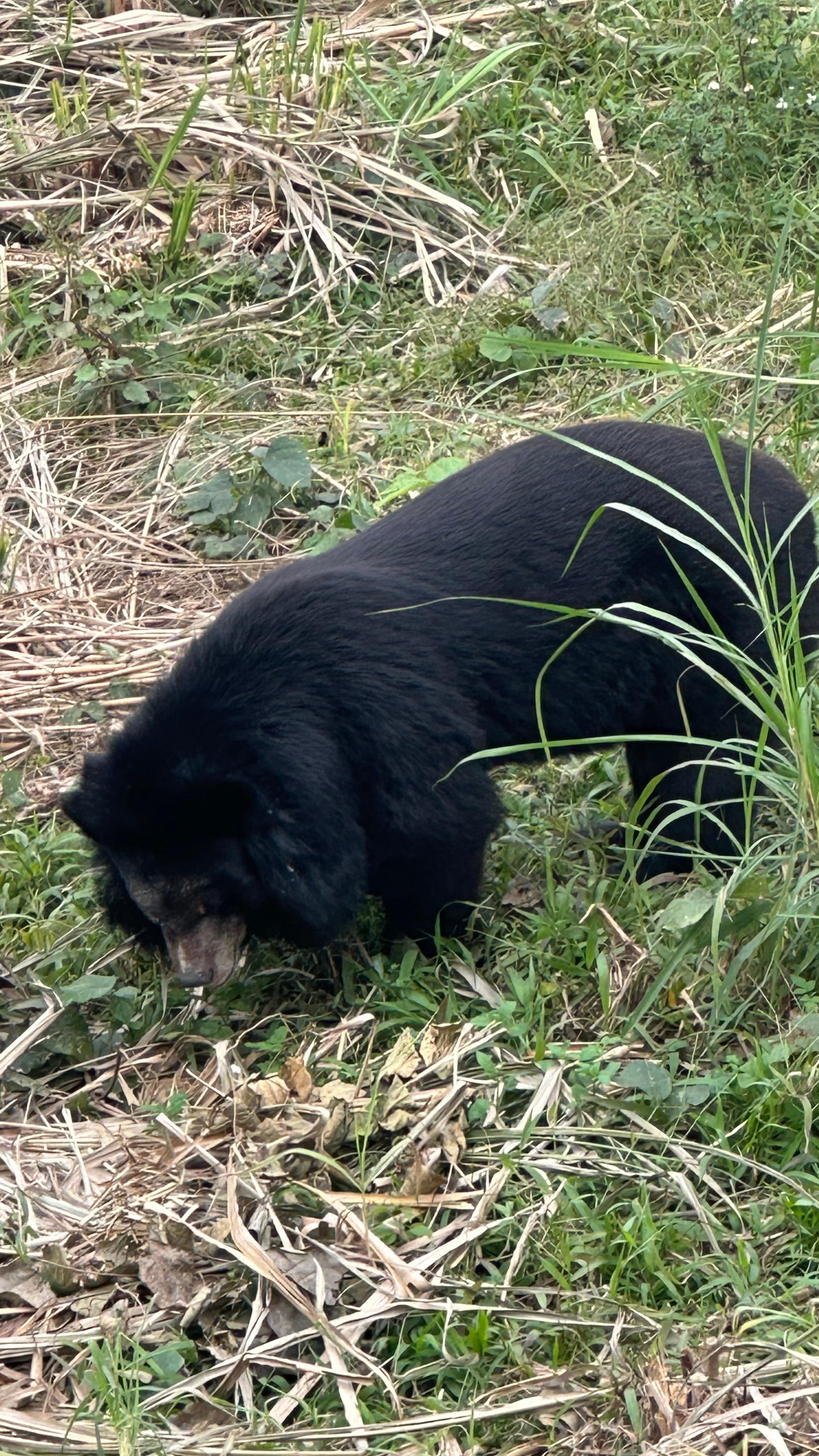 Cuc Phuong National Park Day Trek & Bear Sanctuary from Ninh Binh