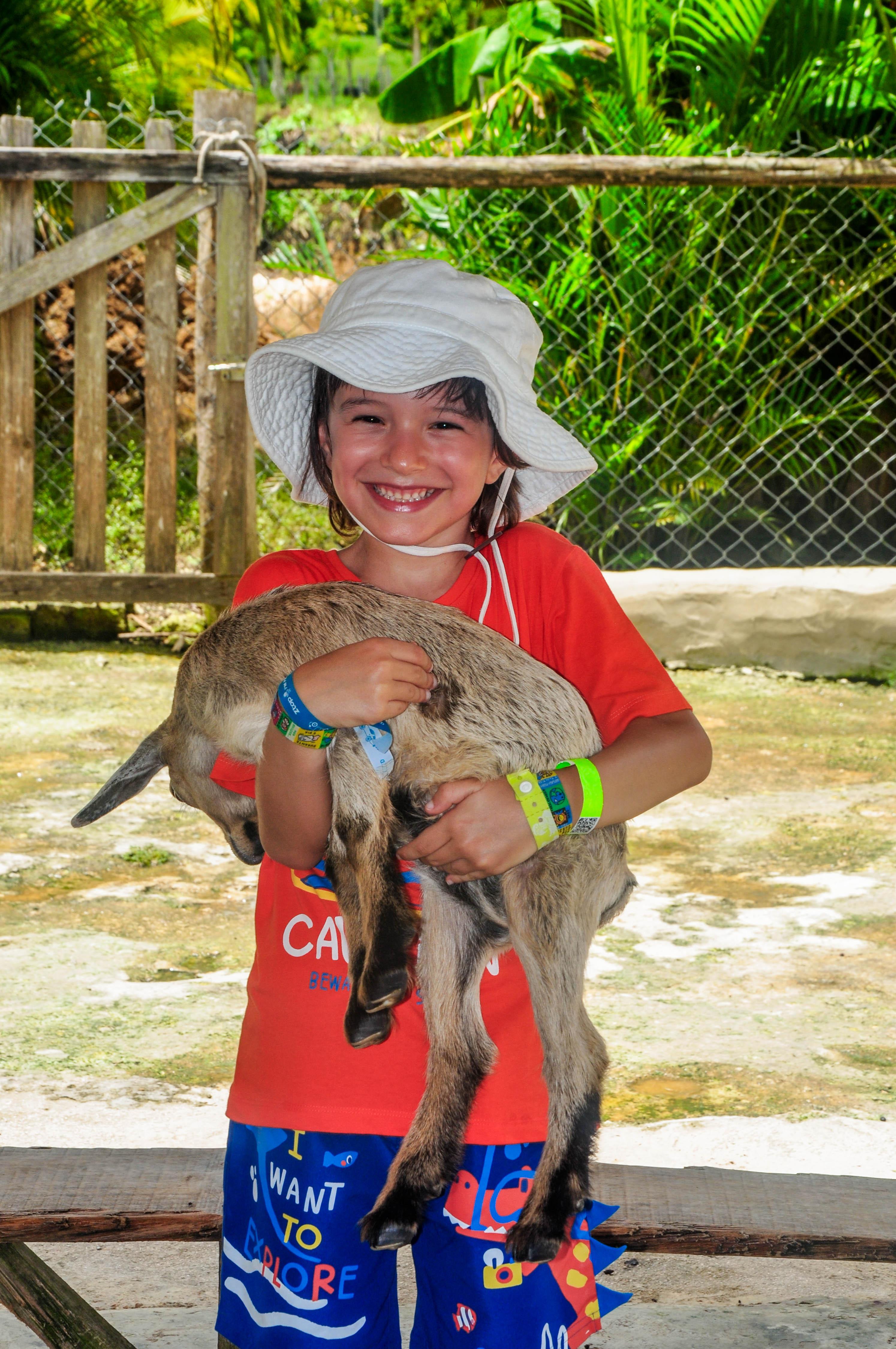 Punta Cana Monkey Park, Dominican Farm & Cenote Swim – Full Day Combo