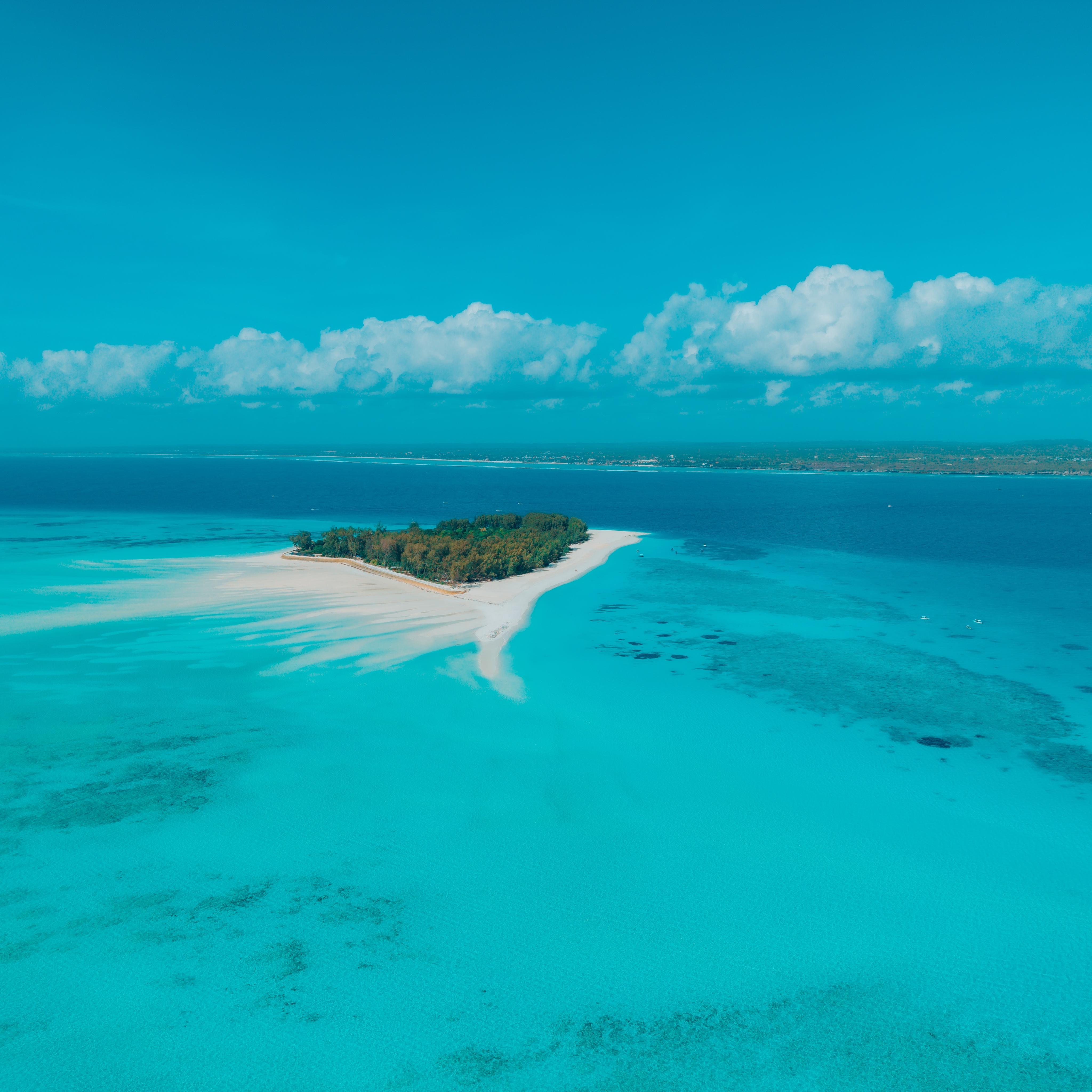 Mnemba Island Dolphin Swim & Snorkeling with Optional Lunch