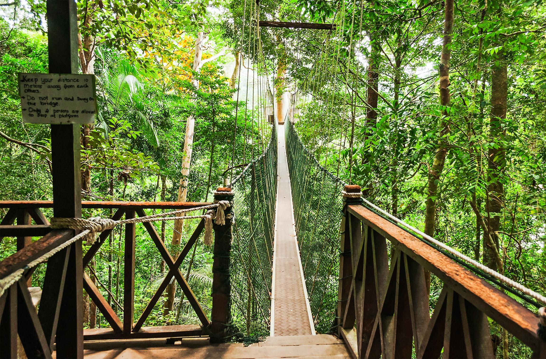 Taman Negara Rainforest Day Trip from Kuala Lumpur