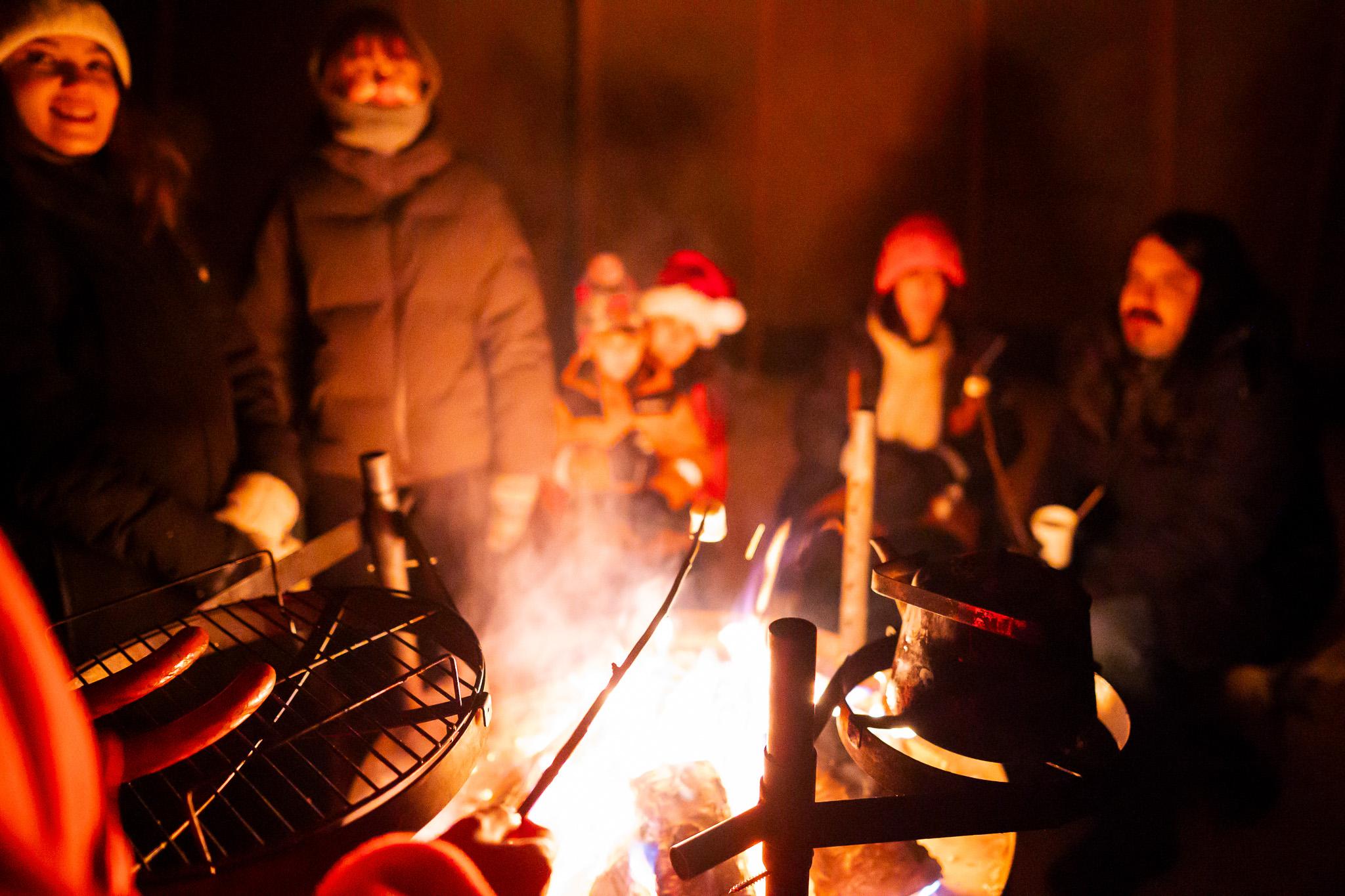 Rovaniemi: Santa Claus & Northern Lights Forest Experience