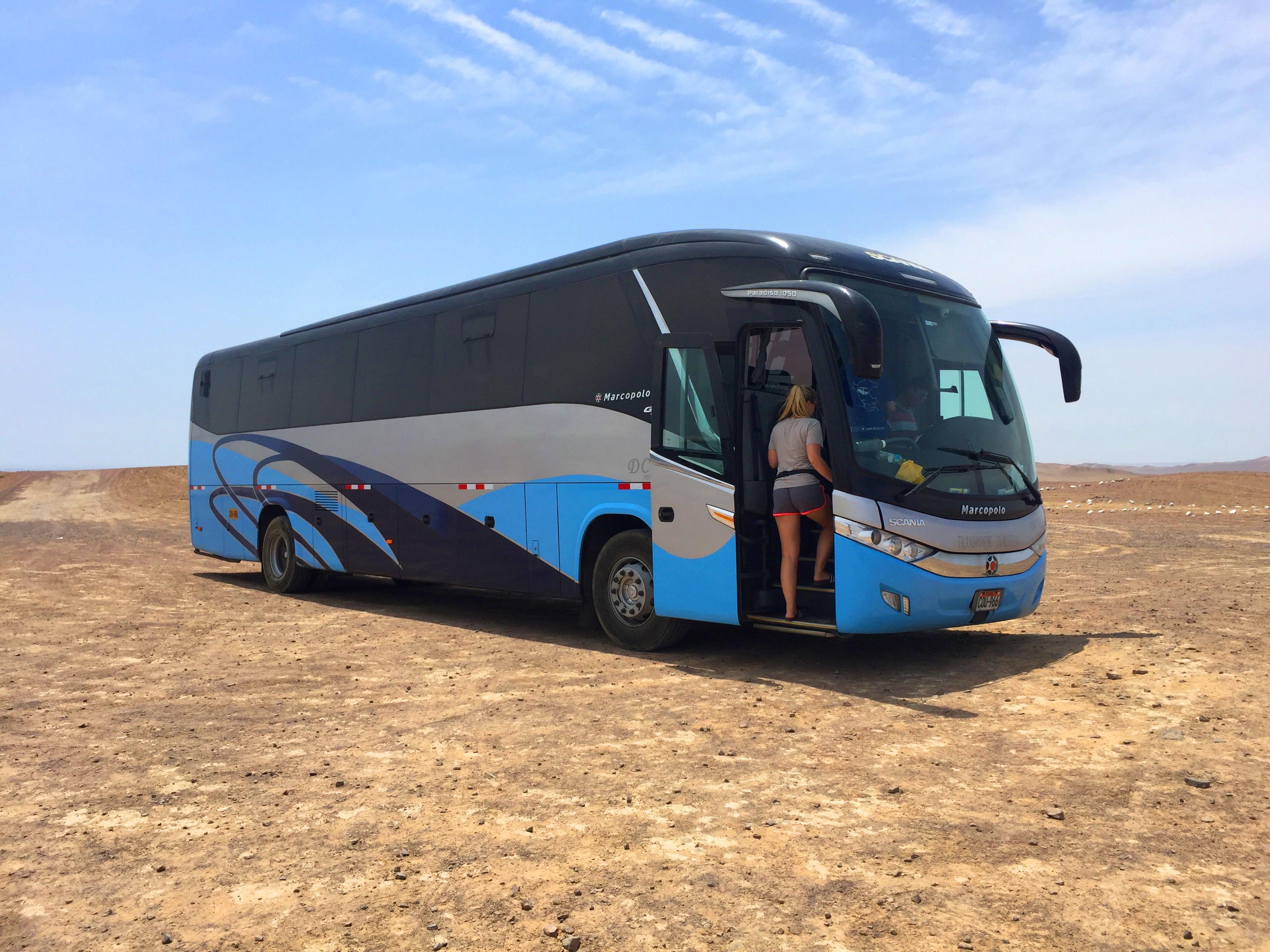 Full-Day Paracas & Huacachina Desert Oasis Tour from Lima
