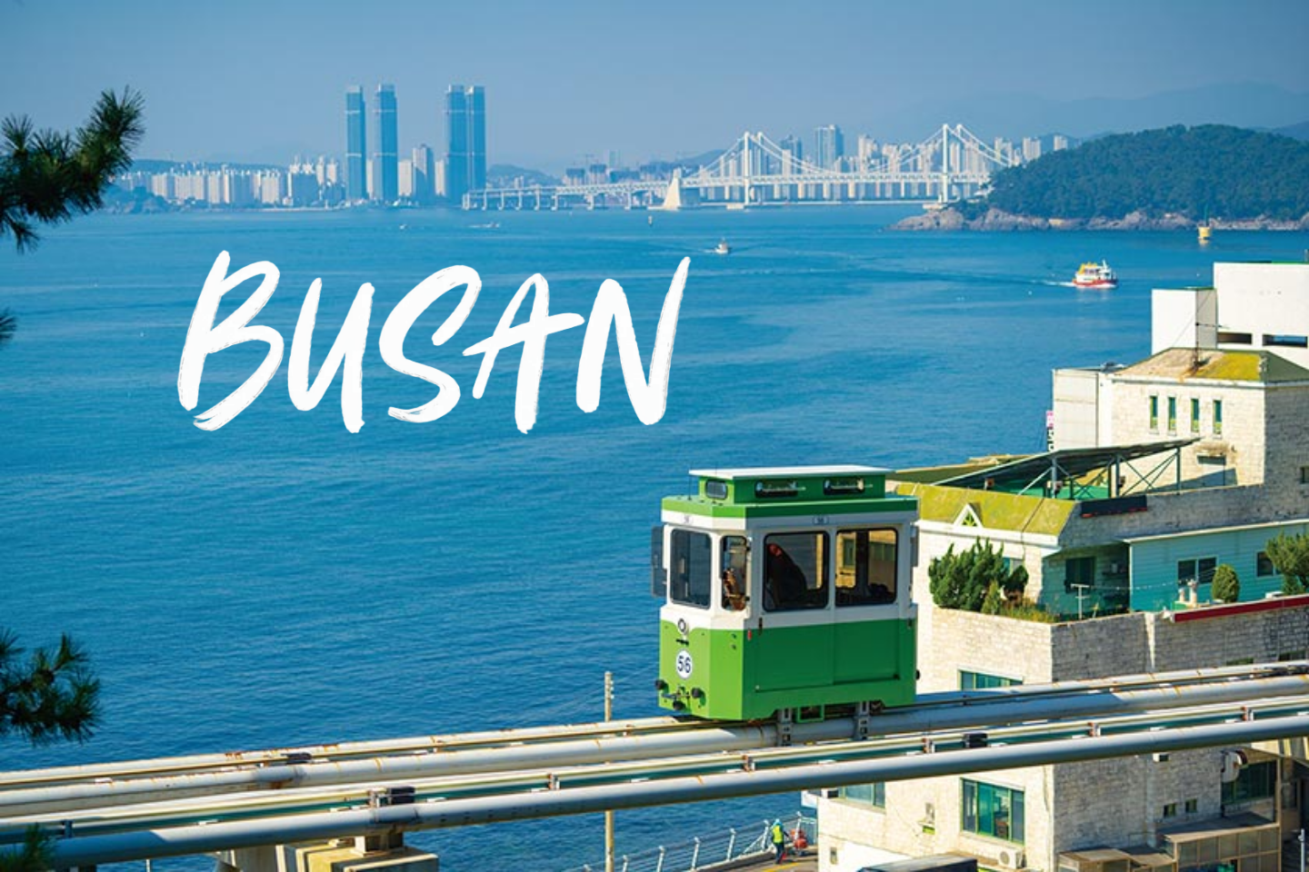 Busan Private Full-Day Customizable Sightseeing Tour