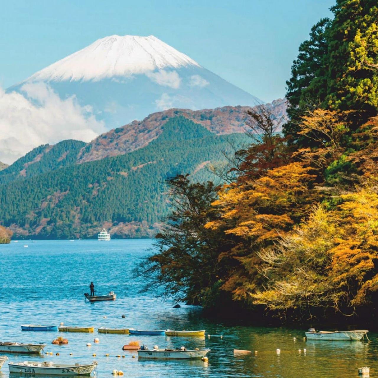 Mount Fuji & Hakone Custom Full-Day Private Tour from Tokyo