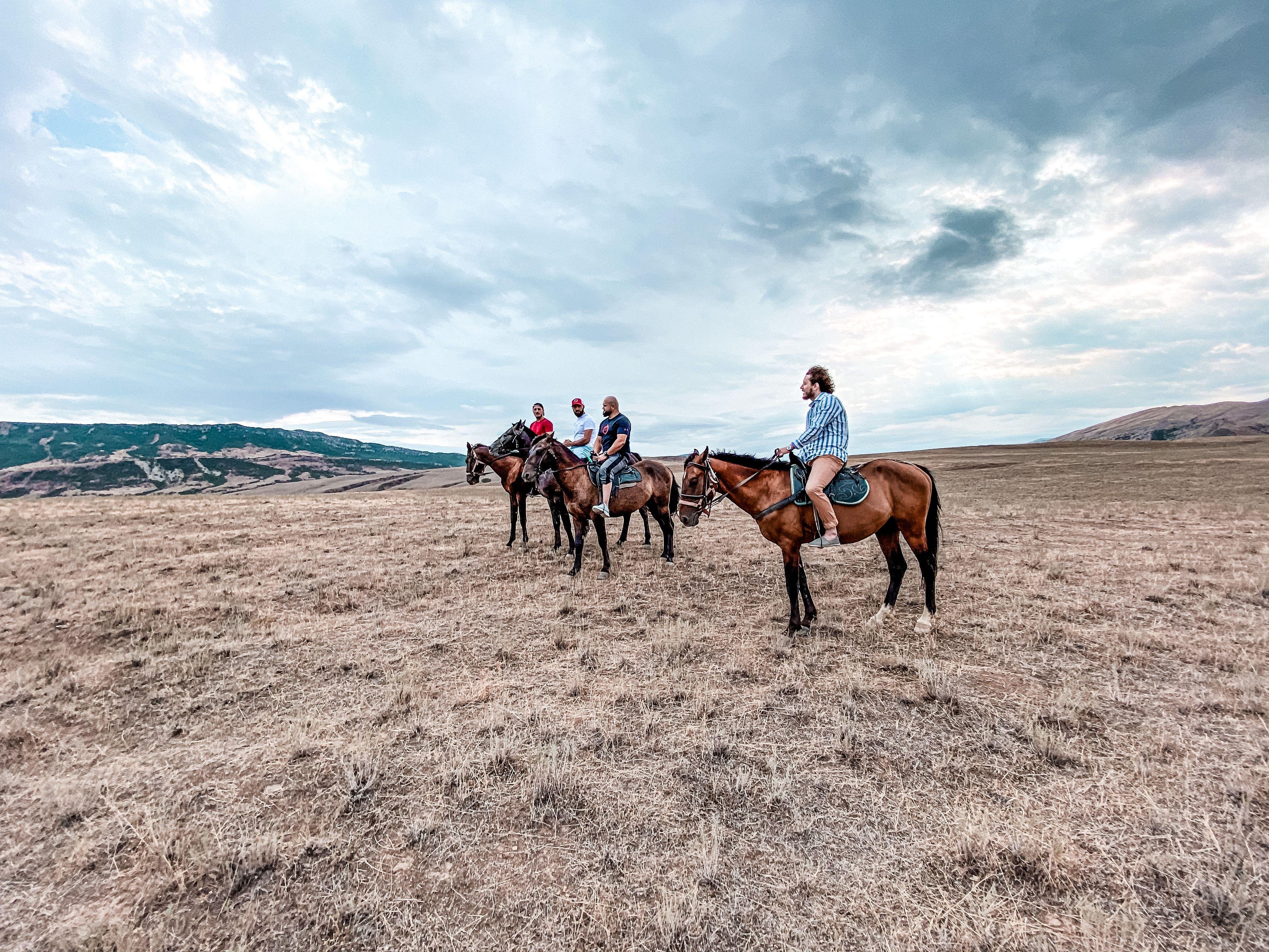 Somerset 6-Hour Experienced Horseback Safari