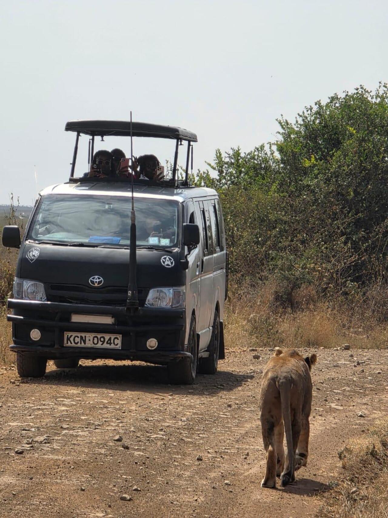 Nairobi National Park 5-Hour 4x4 Wildlife Safari