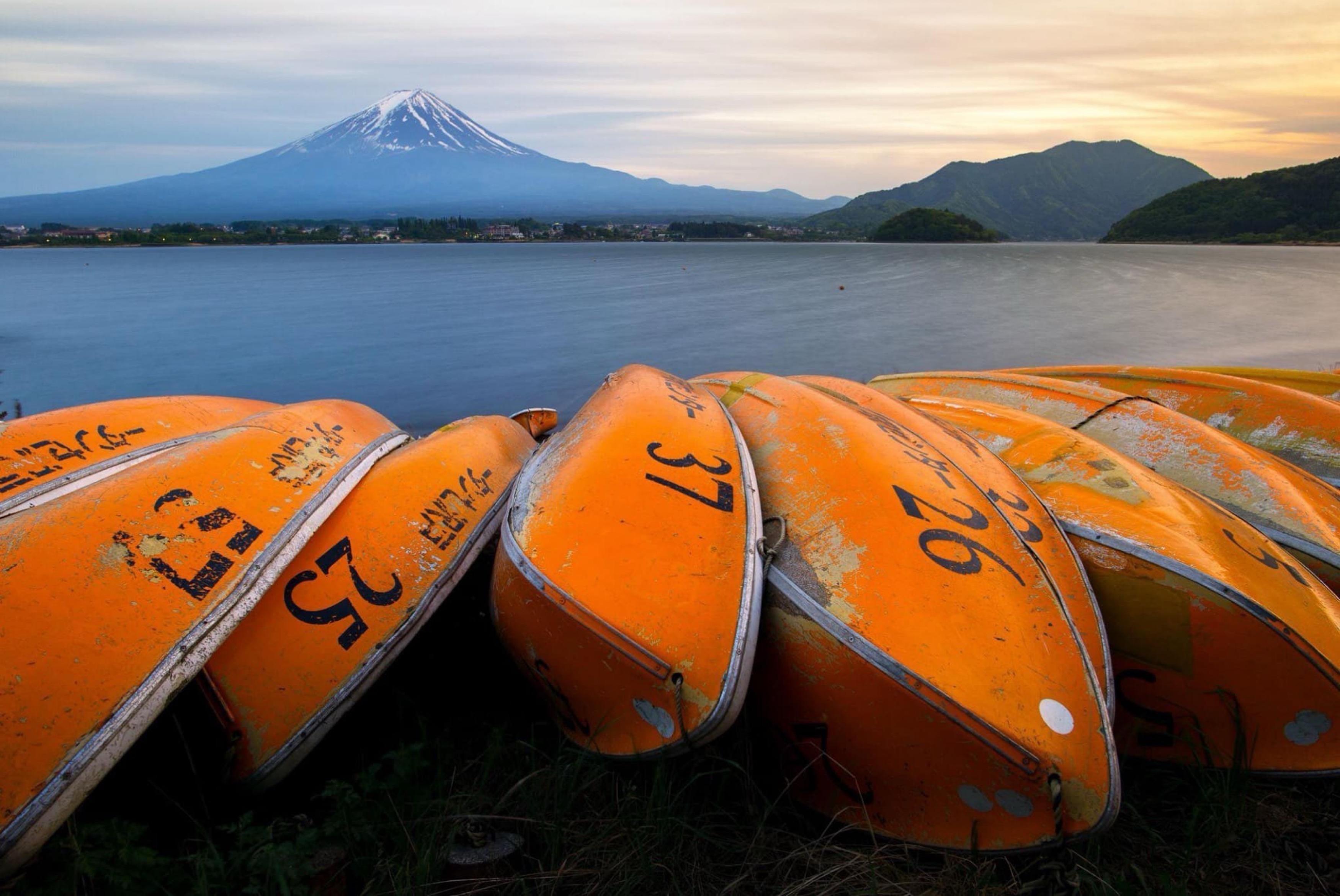 Mount Fuji Private Day Tour from Tokyo with English-Speaking Driver