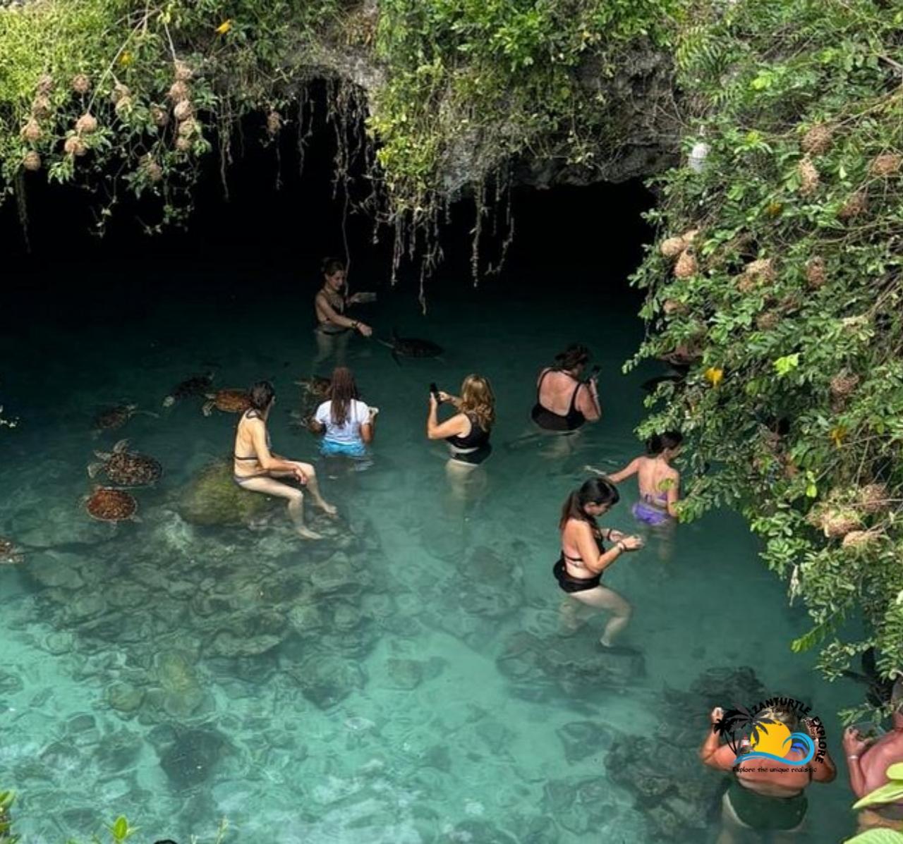 Zanzibar: Jozani Forest, Salaam Cave & The Rock Restaurant Day Tour