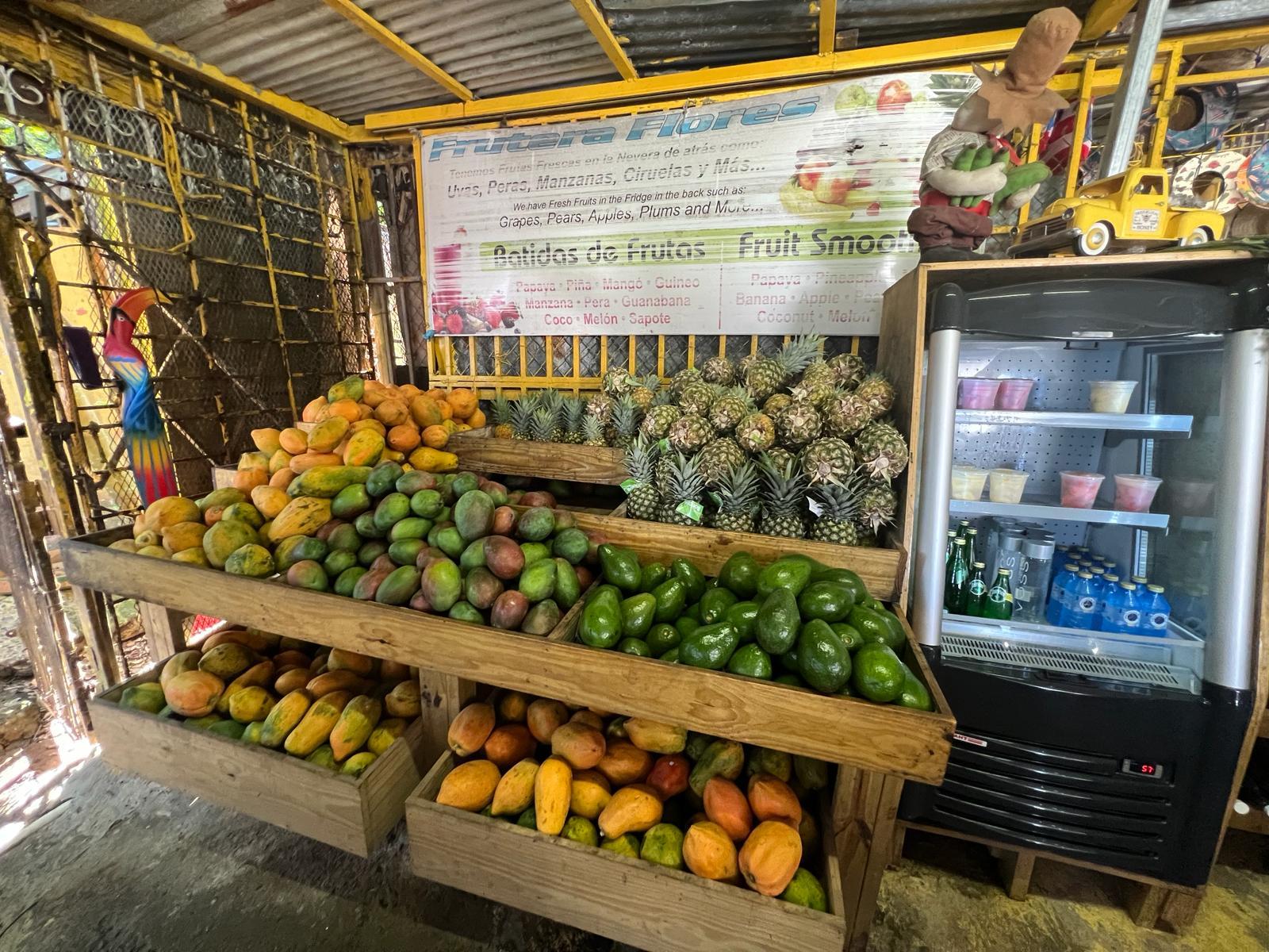 El Yunque Rainforest Adventure: Waterfalls, Slides & Luquillo Beach