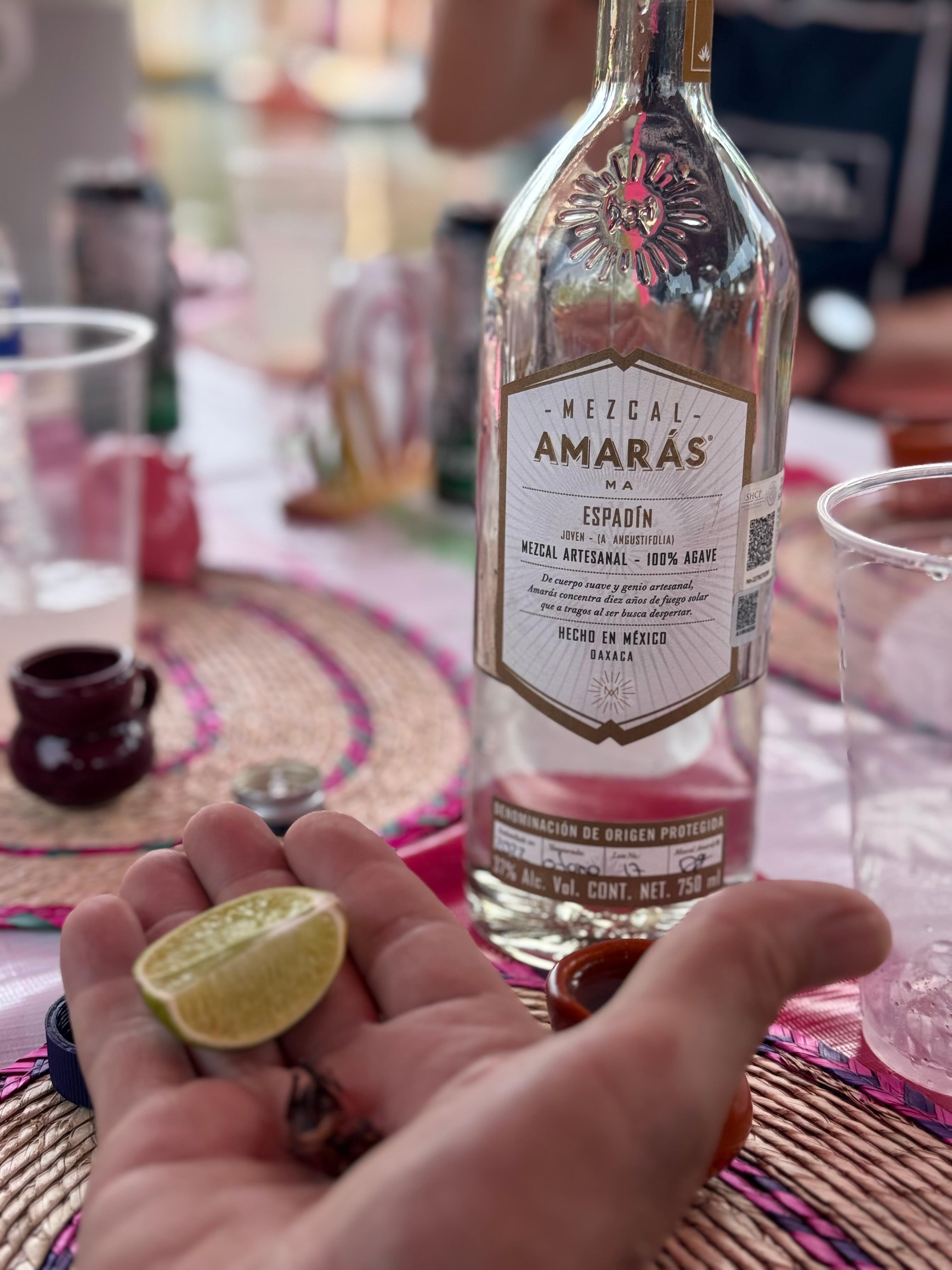 Xochimilco Artisanal Mezcal & Cultural Boat Party
