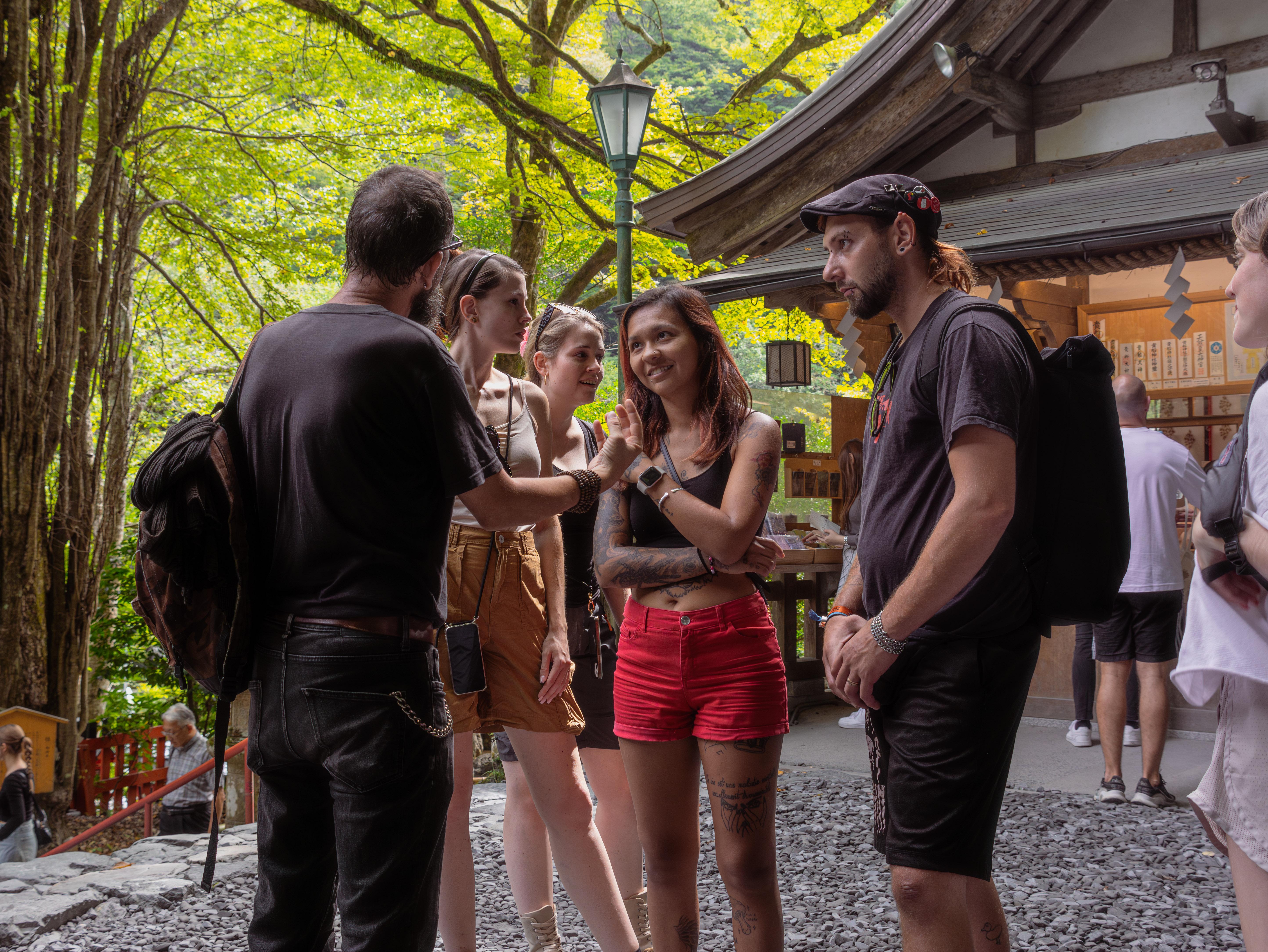 Kyoto experience — temples, geisha, bamboo grove — image 6
