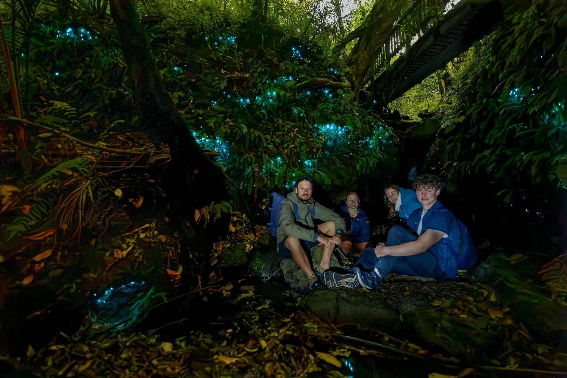 Inner-City Glowworm Tour in Ancient Volcano