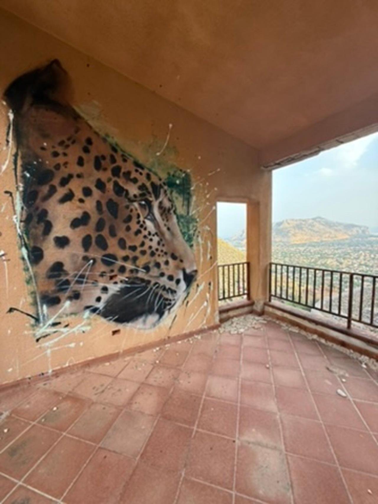 Palermo: Pizzo Sella Urbex & Mafia History Tour