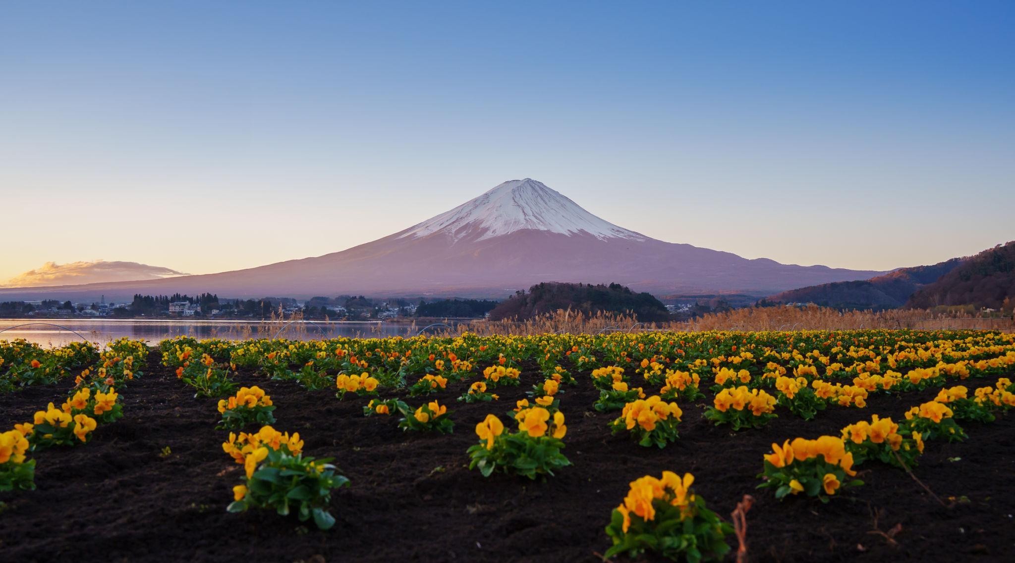 Mount Fuji Private Day Tour from Tokyo with English-Speaking Driver