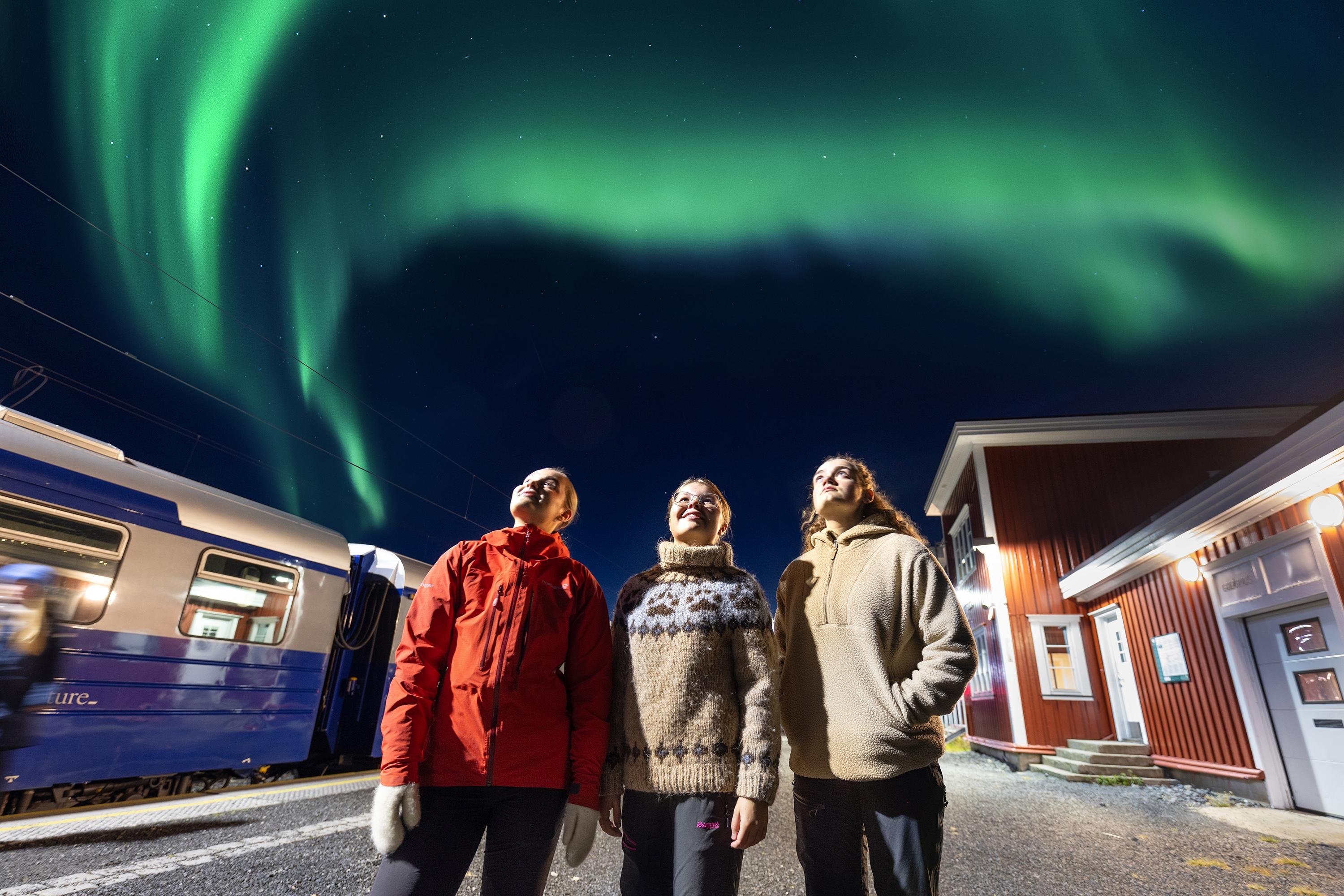 Northern Lights Arctic Train Journey from Narvik
