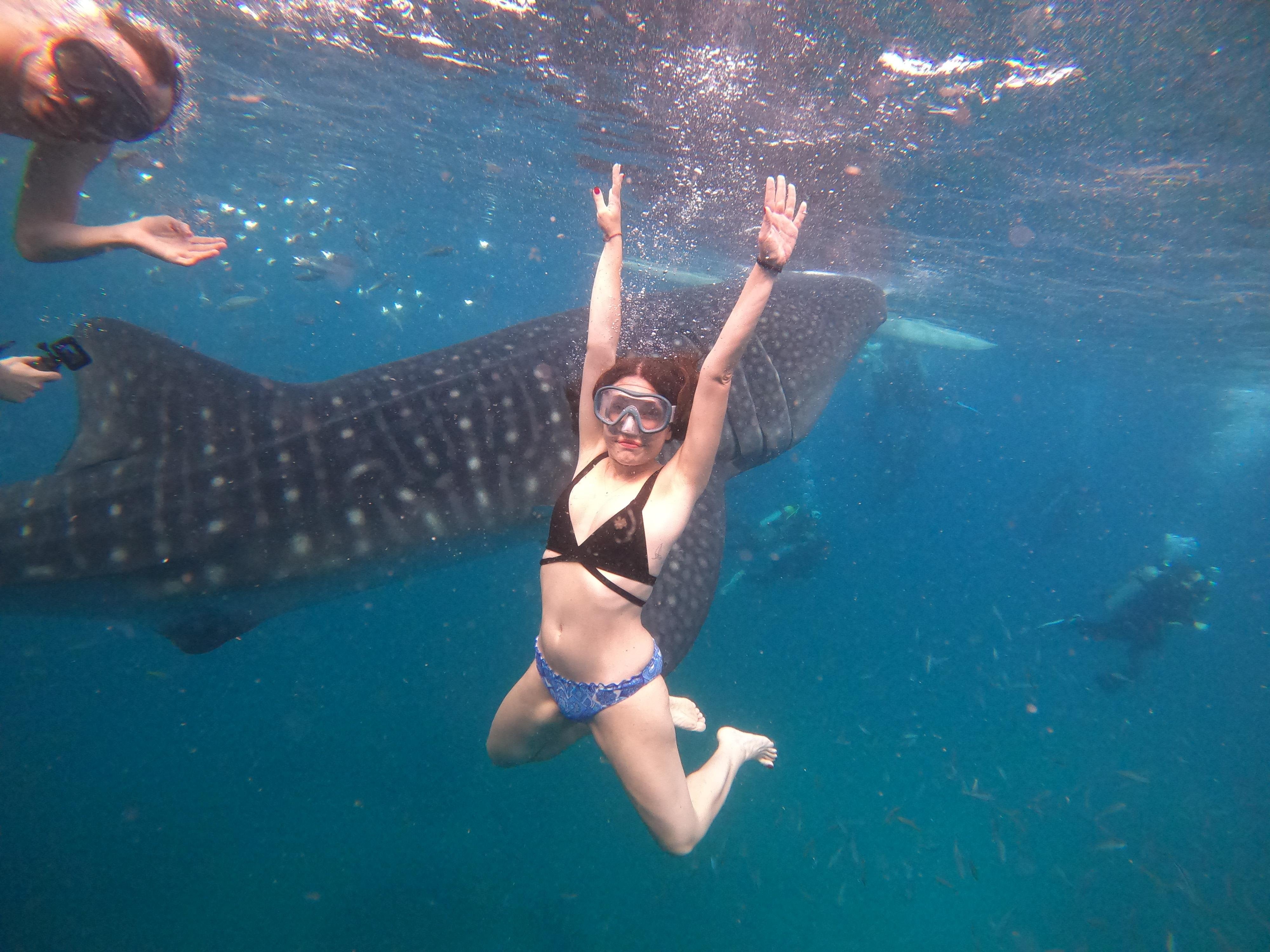 Cebu Triple Wonder: Whale Sharks, Sumilon Sandbar & Tumalog Falls