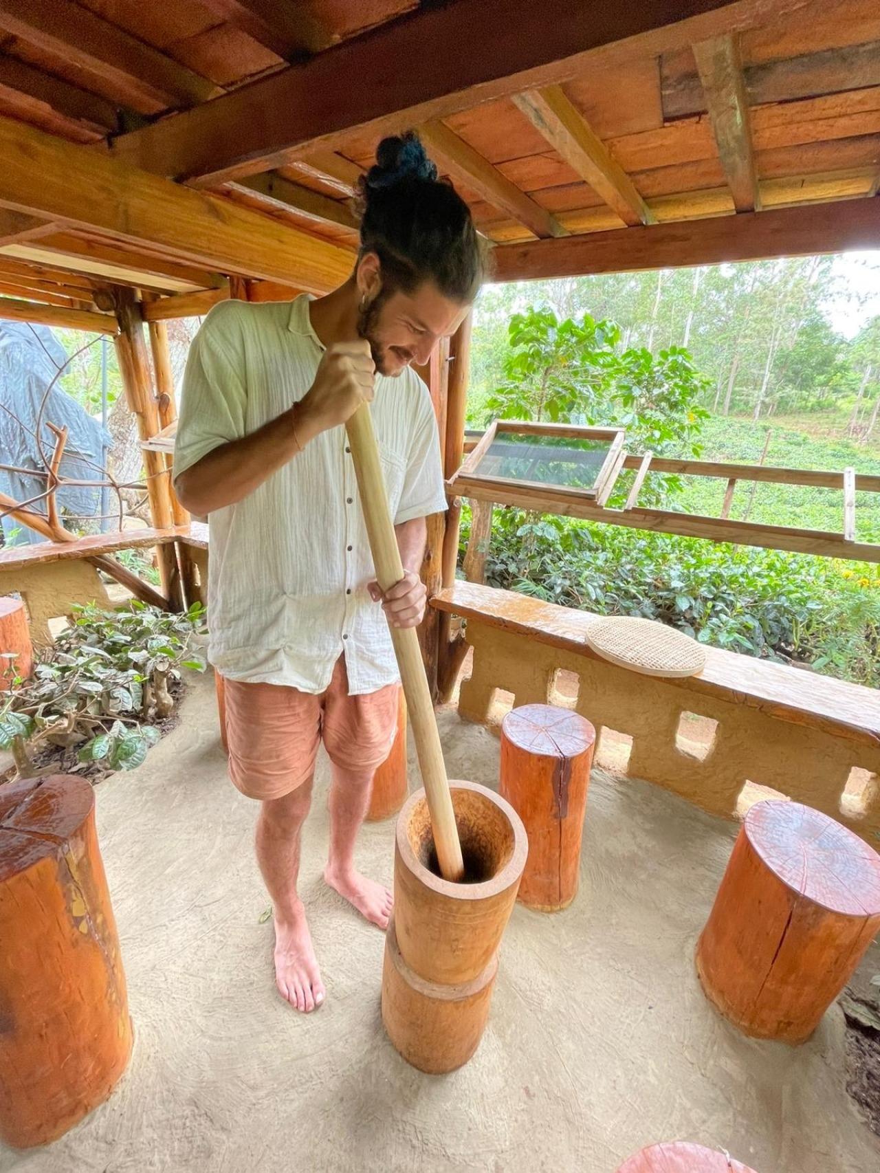 Ella: Hands-On Tea Crafting and Tasting Experience