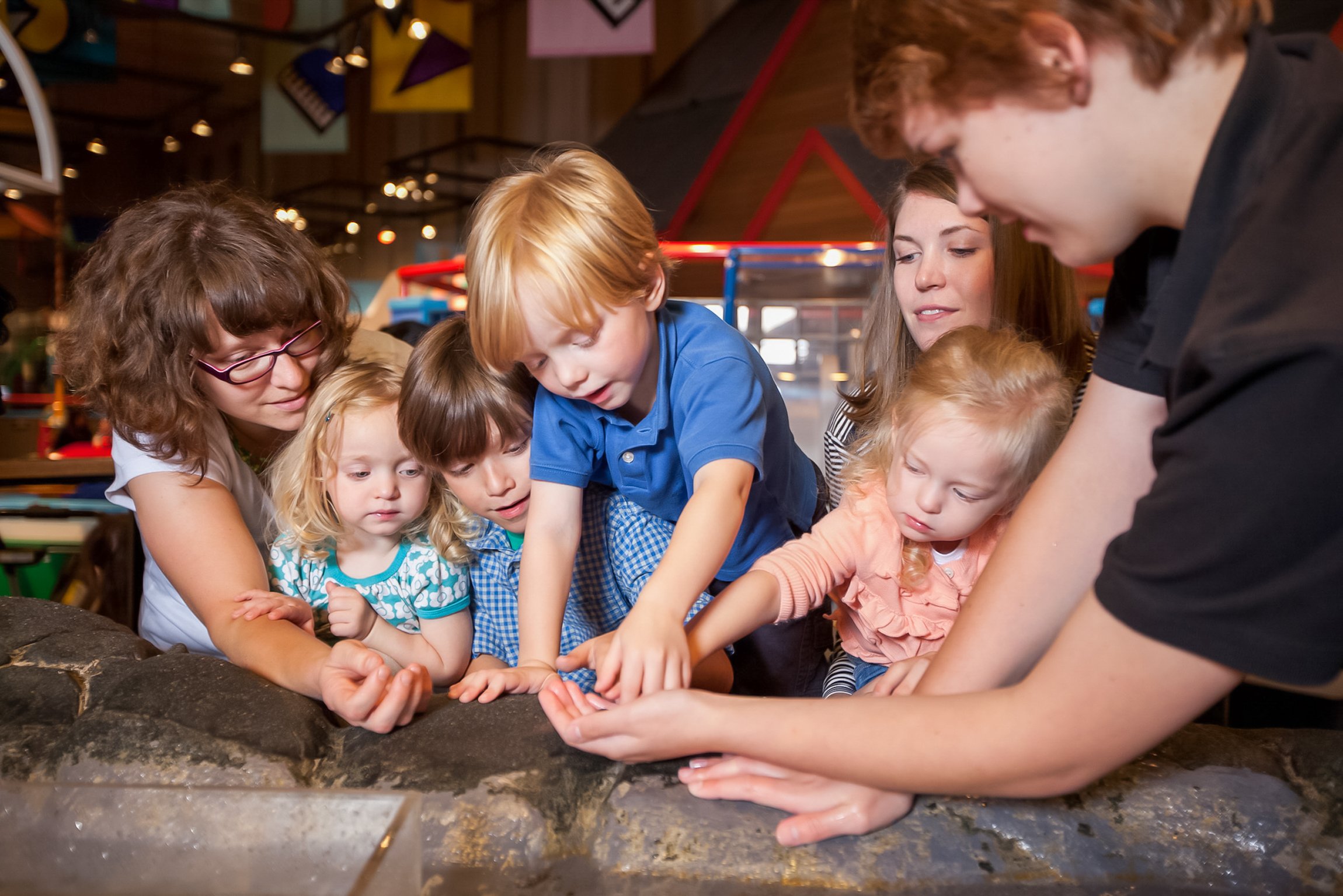 Seattle CityPASS attractions — Space Needle, Seattle Aquarium and the harbor — image 5