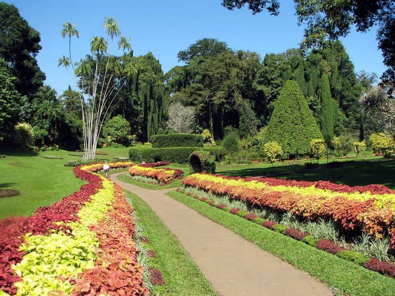 Kandy, Pinnawala & Tea Country Full-Day Excursion