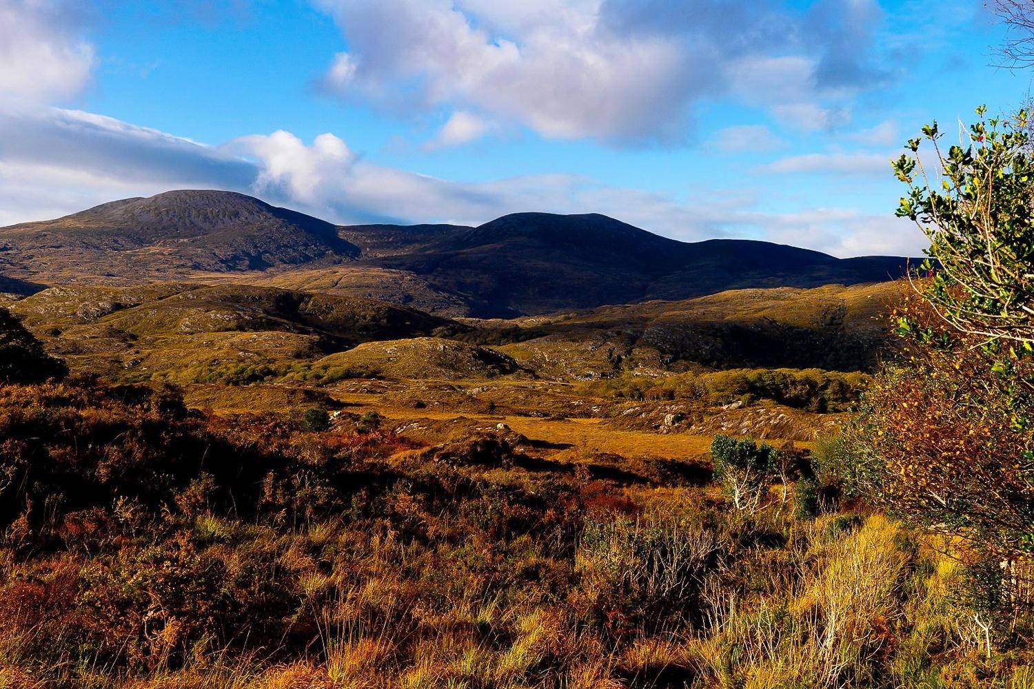 Ring of Kerry Full-Day Coach Tour from Killarney