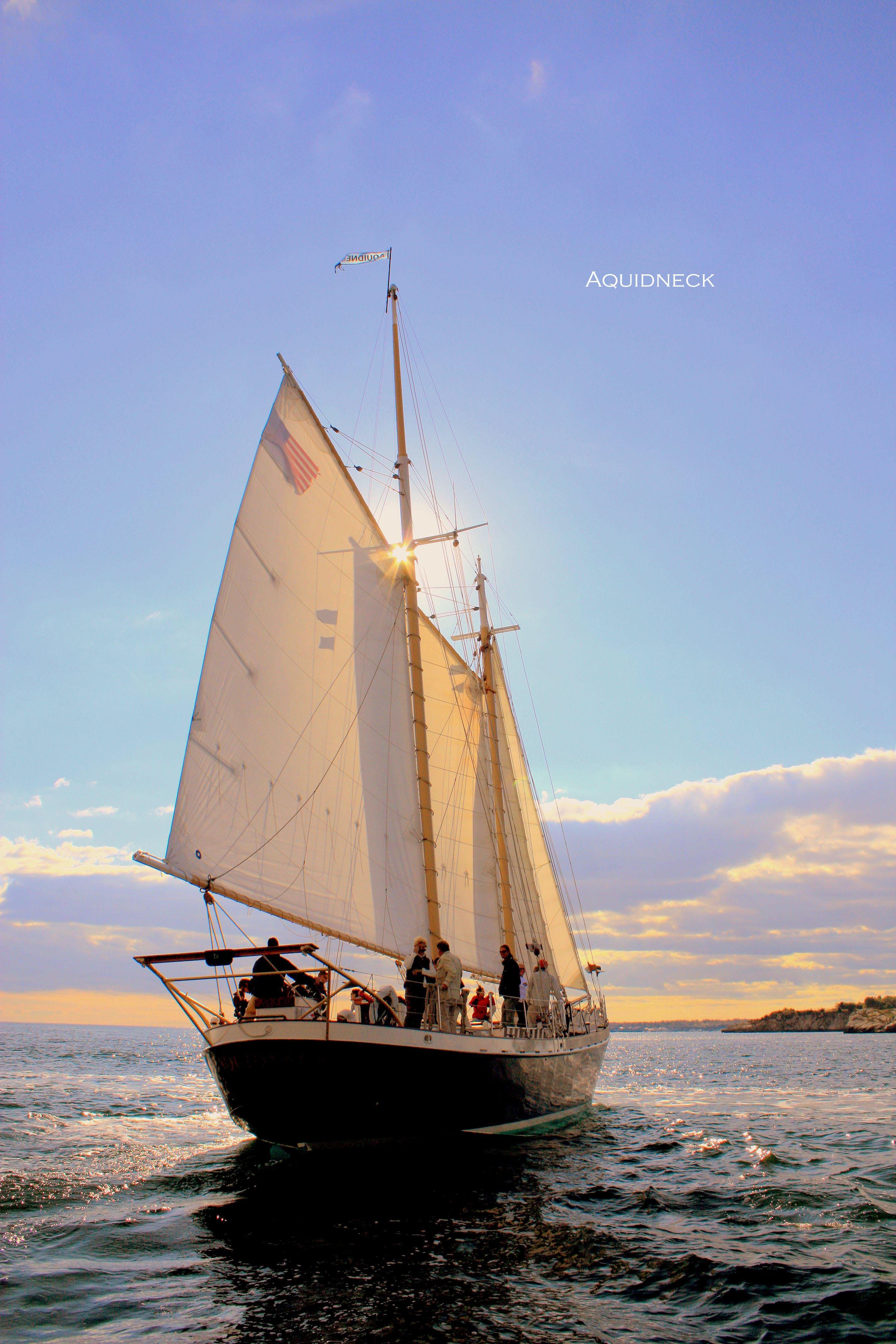 Newport: Champagne Sunset Sail - 2026 (Verified Reviews)