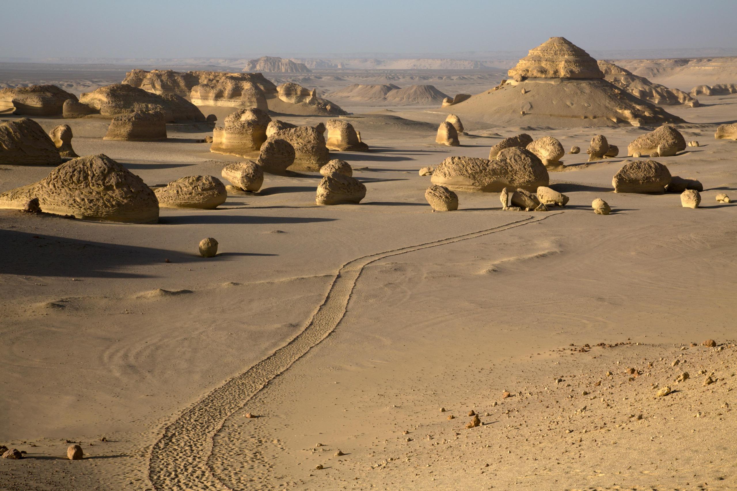 Wadi Hitan Fossil Discovery & Desert Safari