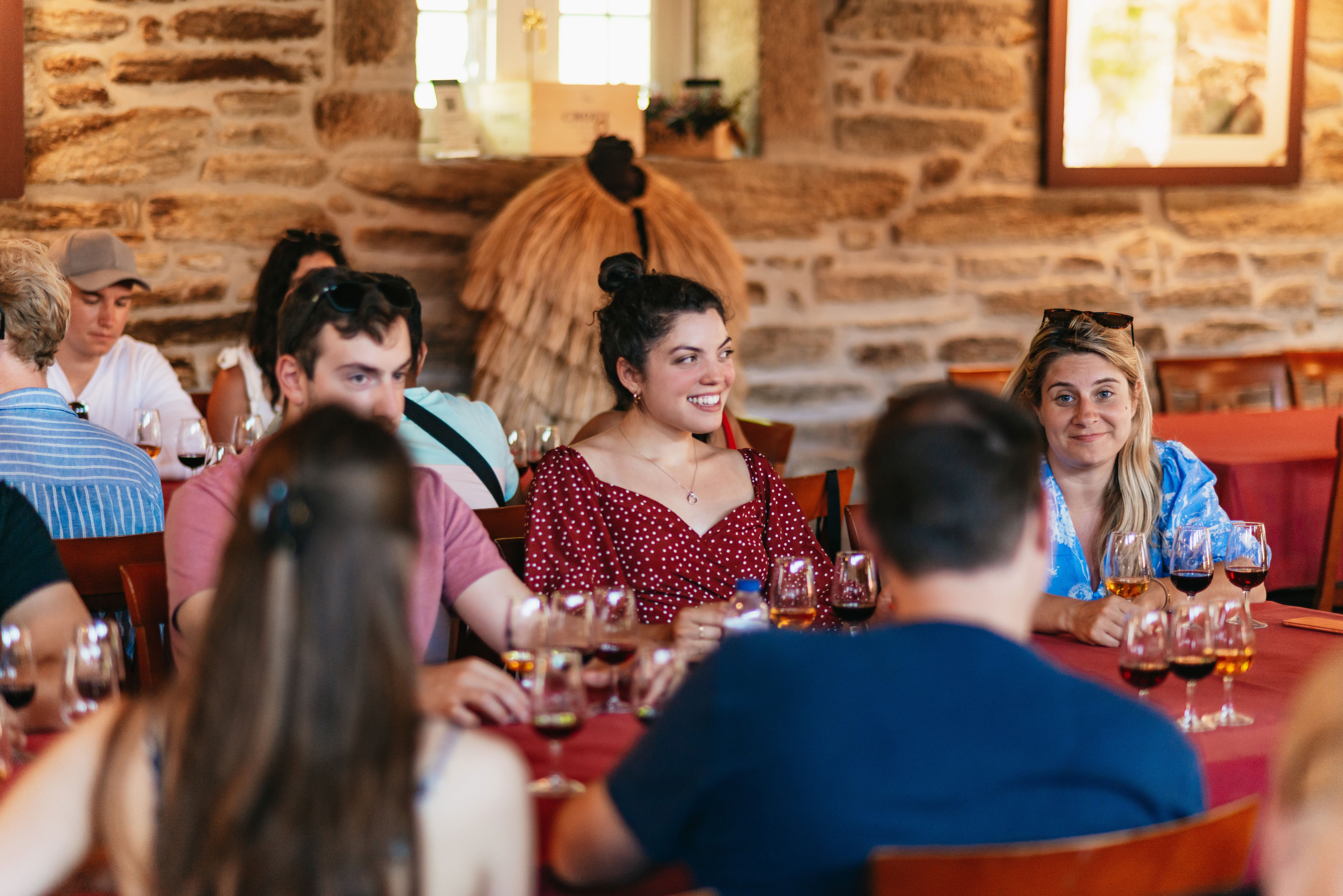 Douro Valley Wine Tour with River Cruise from Porto