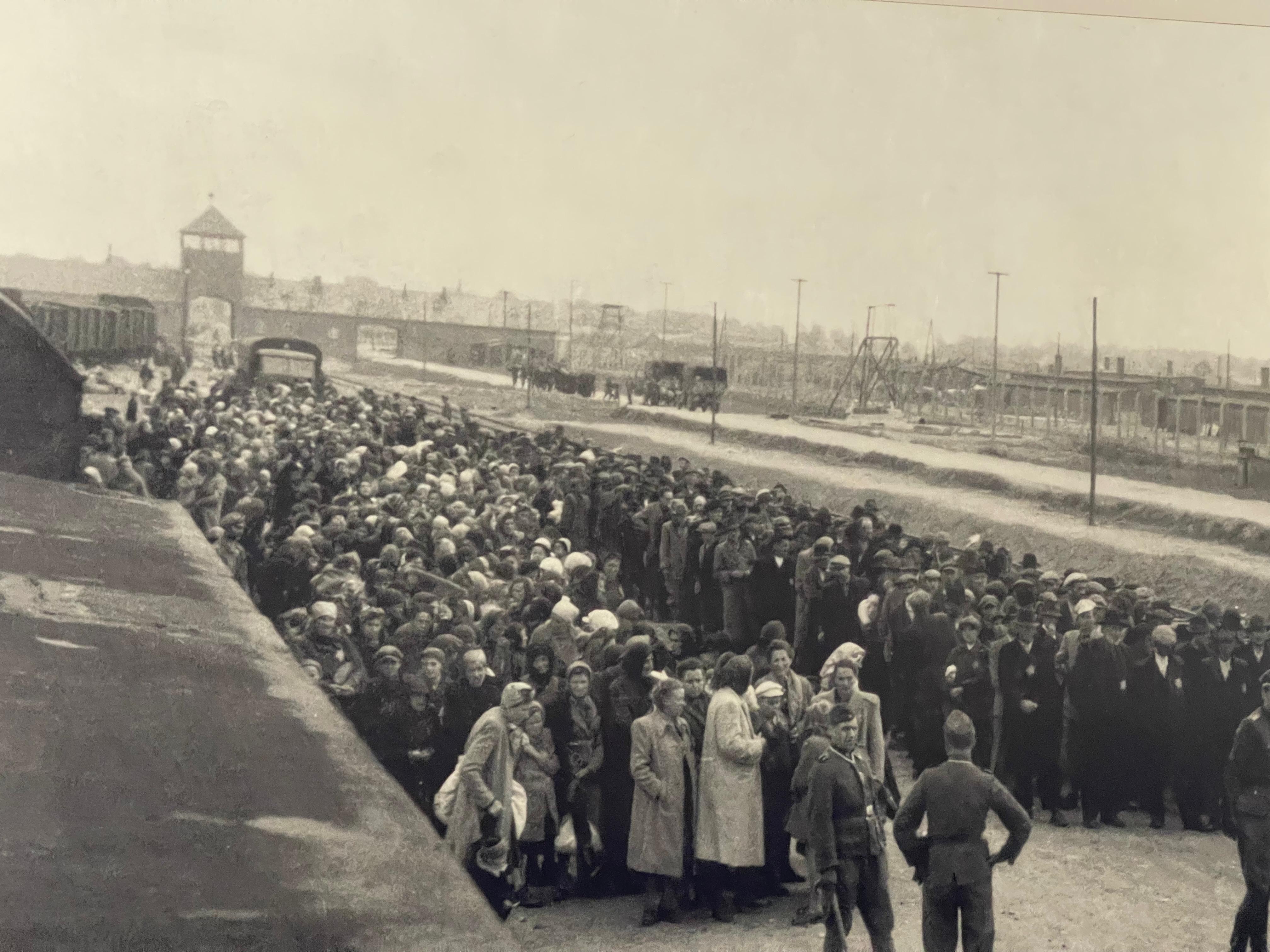 Krakow to Auschwitz-Birkenau Private Chauffeur Transfer