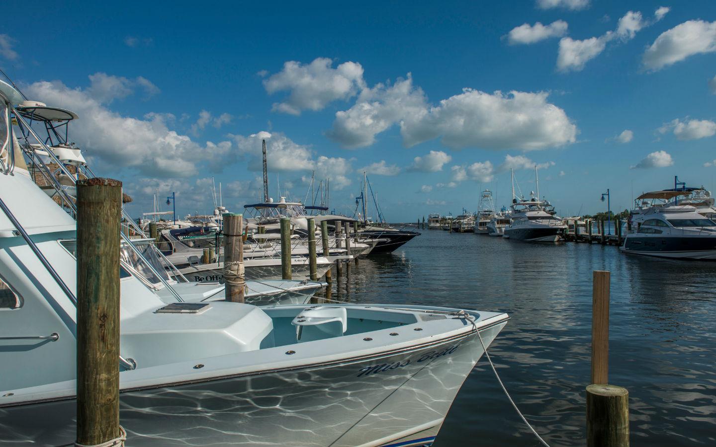 Miami Deep-Sea Fishing & Scenic Coastal Cruise