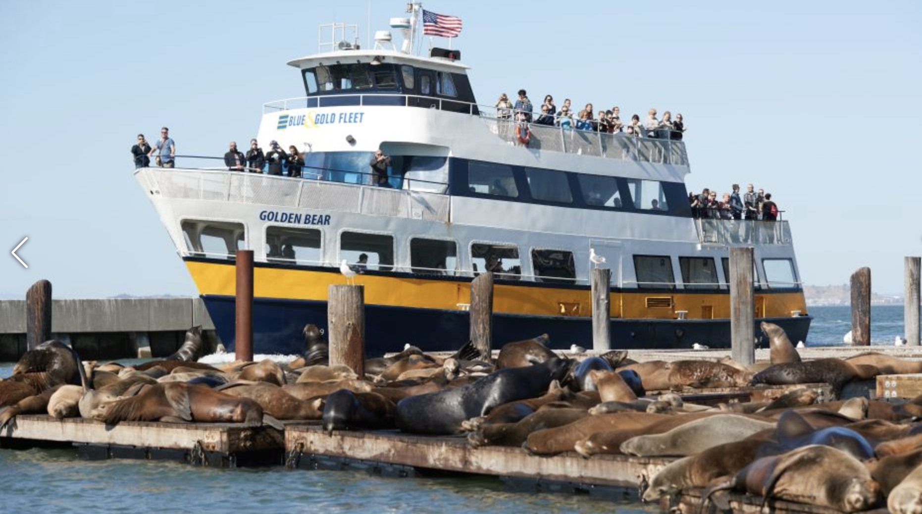 Alcatraz Island Prison Tour & Bay Cruise Combined Package
