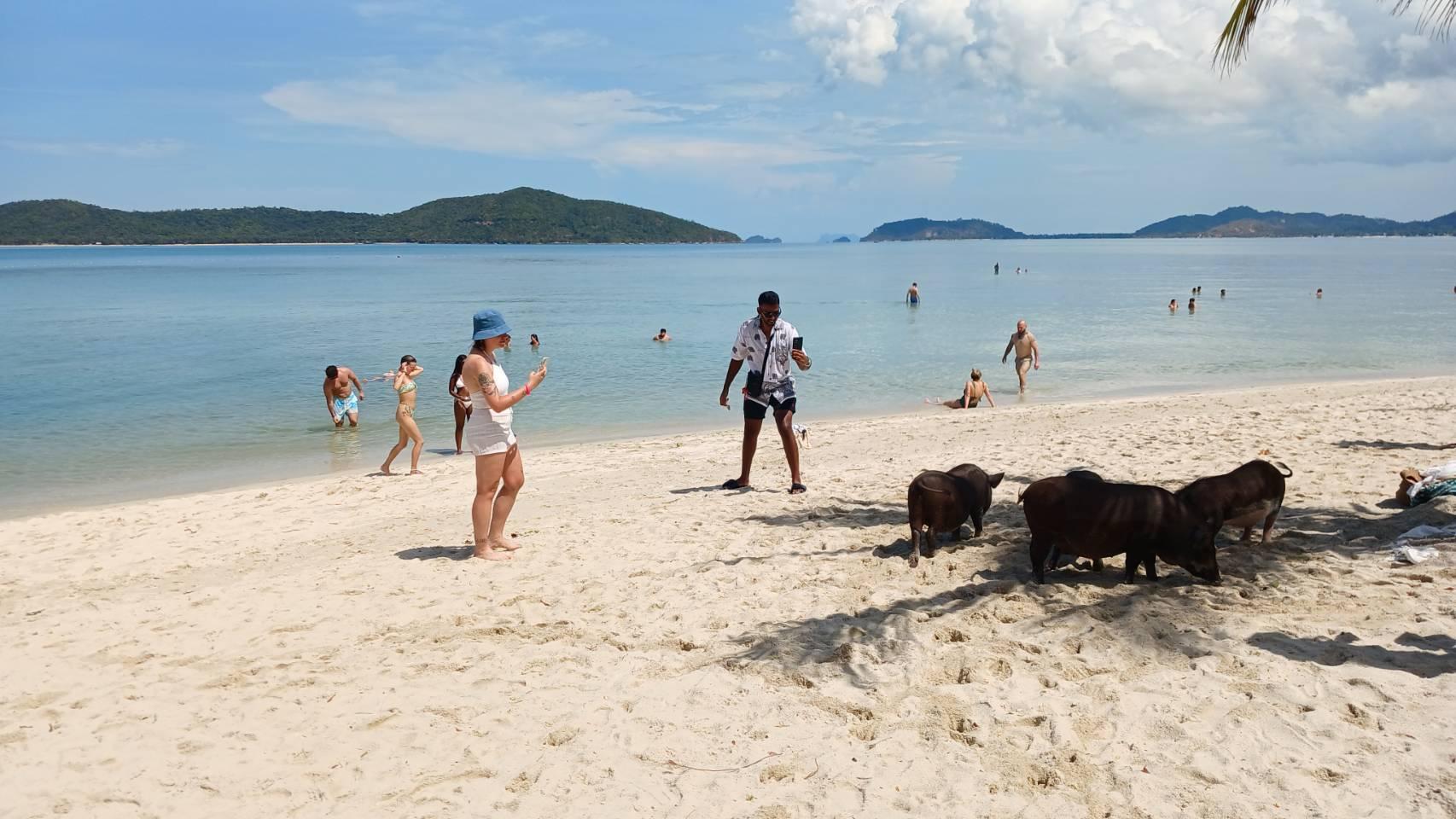 Koh Samui Island Hopping: Pig Island & Koh Tean Adventure