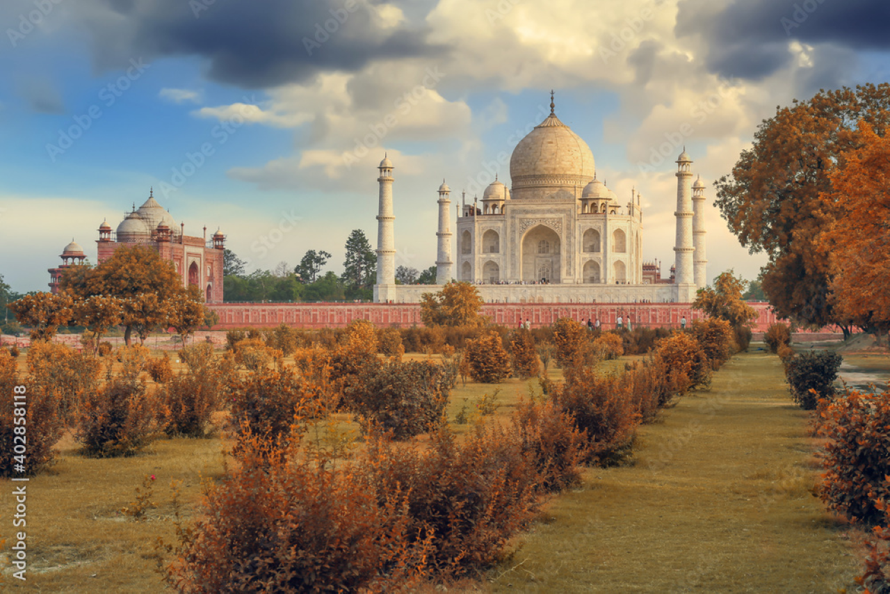 Delhi to Agra: Taj Mahal by Moonlight & Agra Fort Day Tour