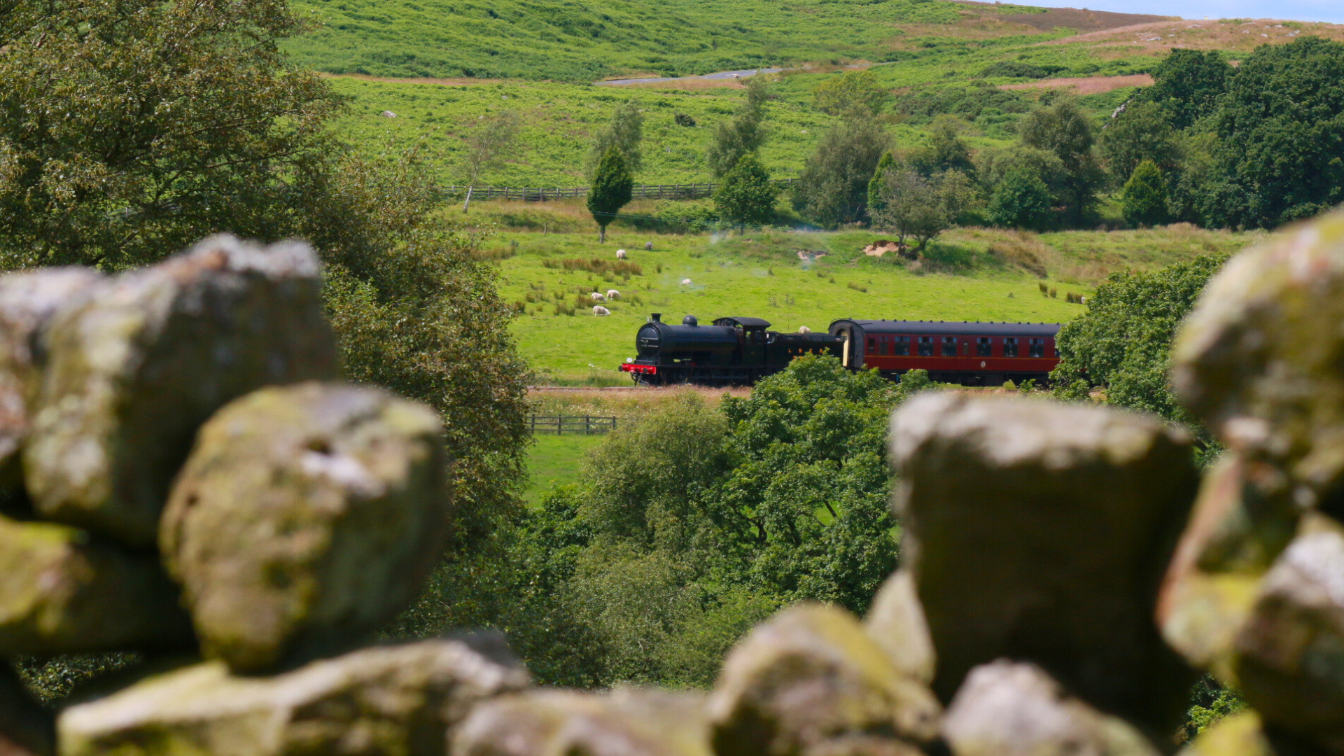 York: North Yorkshire Moors and Whitby Scenic Day Trip