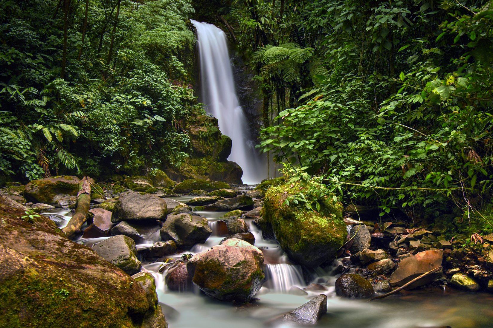 La Paz Waterfall Gardens Nature Park Day Trip from San Jose