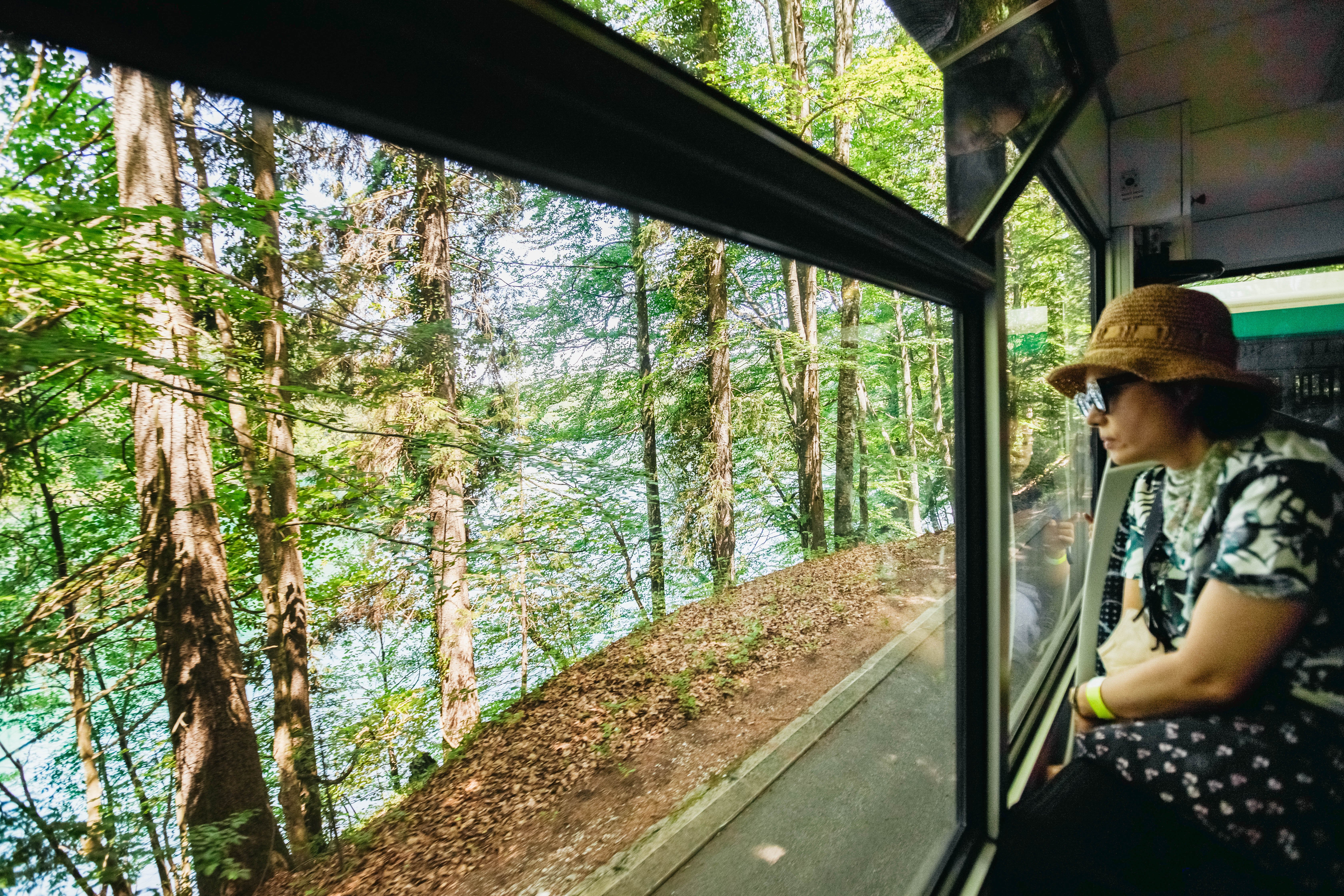 Split to Plitvice Lakes National Park Guided Day Trip